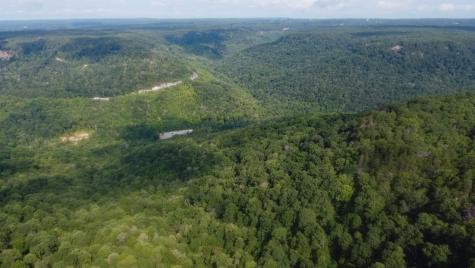 0 Partin Farm Road Tracy City TN 37387