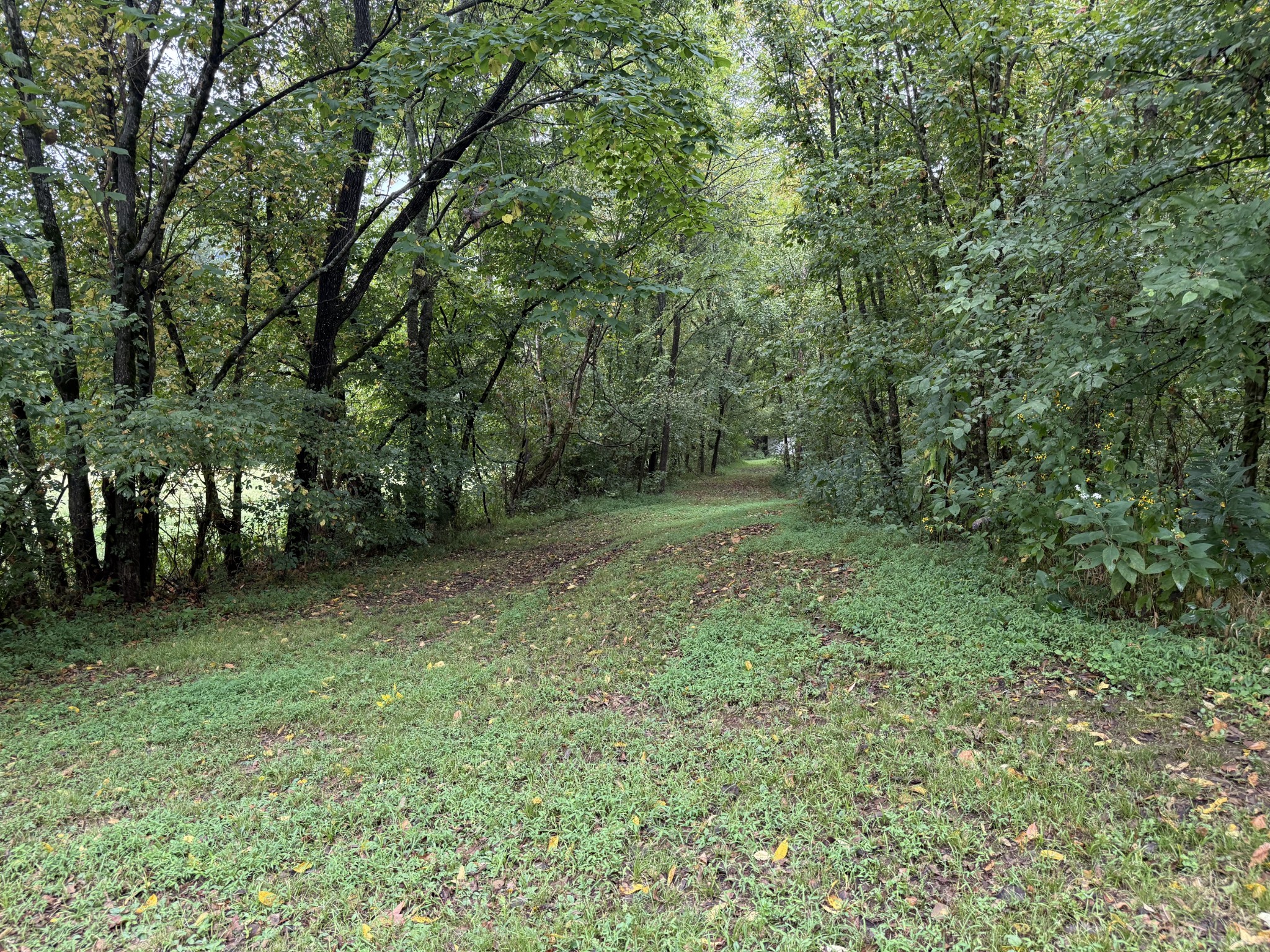 5930 Wet Mill Creek Road Celina TN 38551