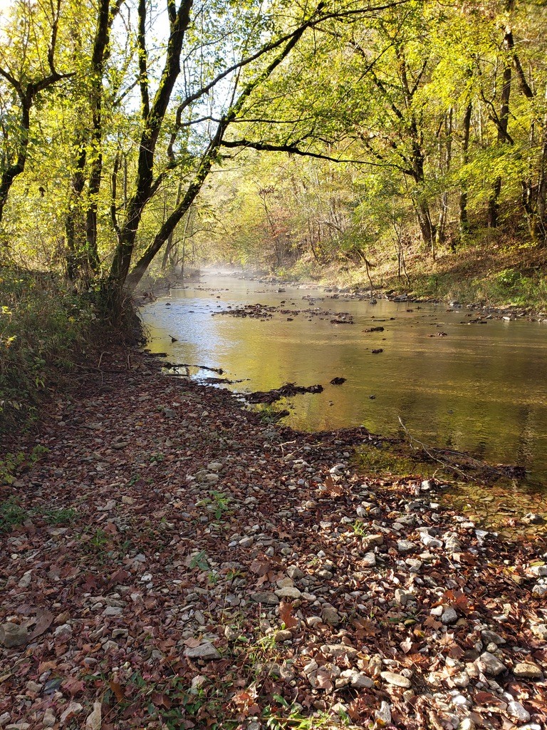5930 Wet Mill Creek Road Celina TN 38551