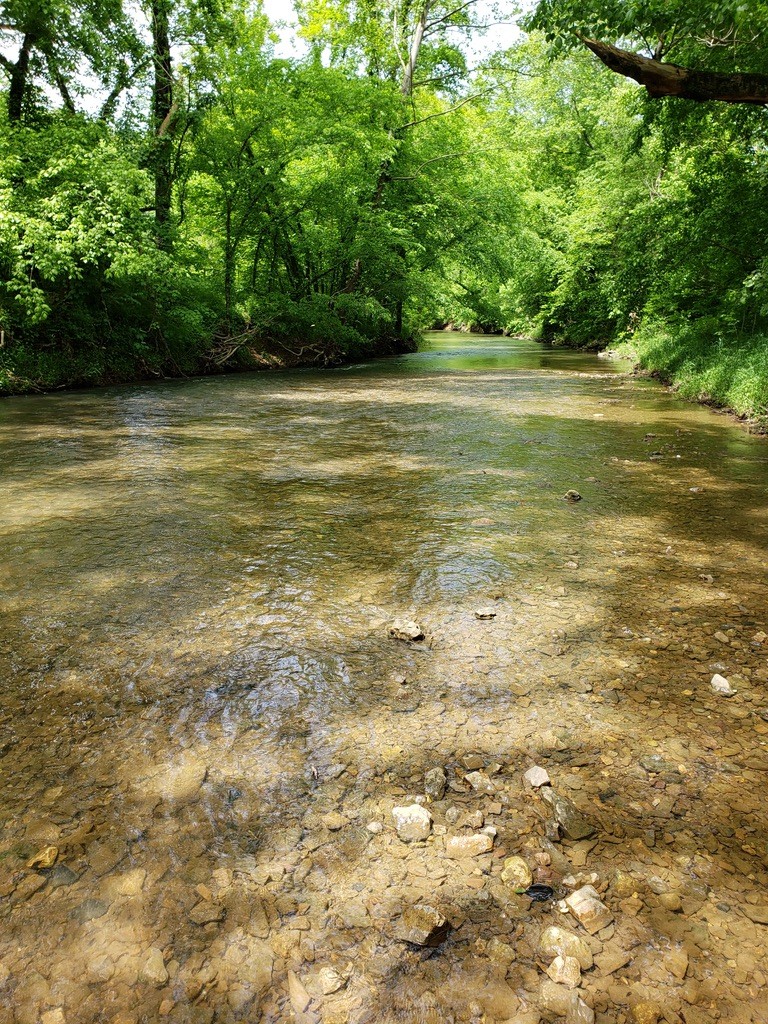 5930 Wet Mill Creek Road Celina TN 38551