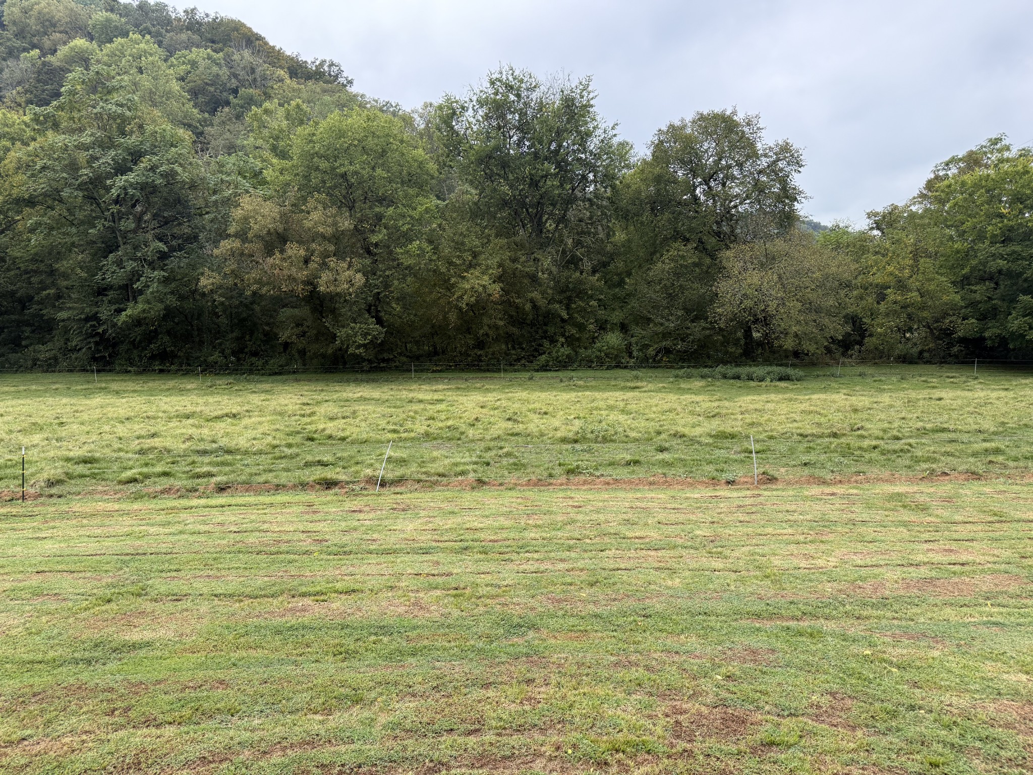 5930 Wet Mill Creek Road Celina TN 38551