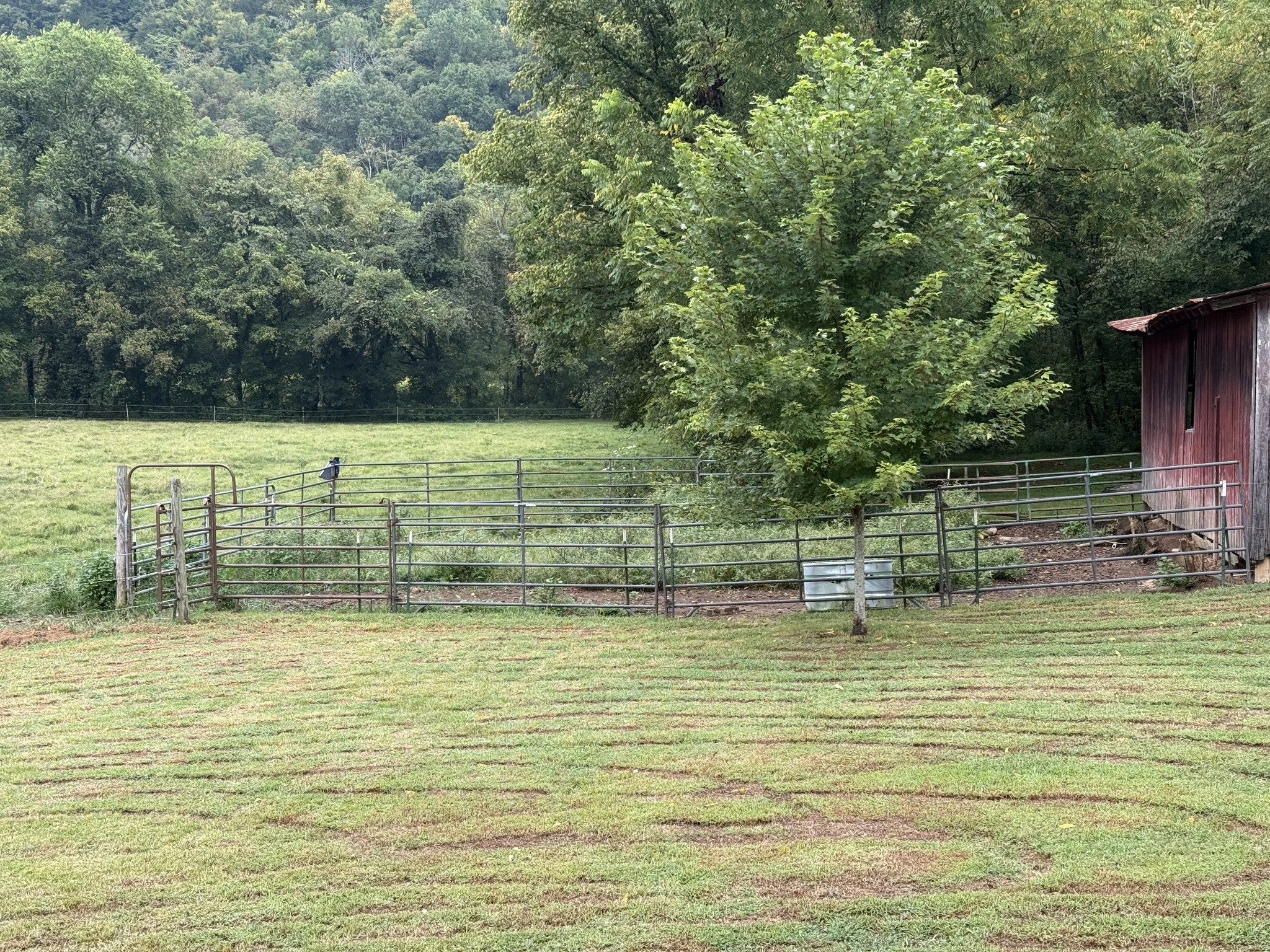5930 Wet Mill Creek Road Celina TN 38551
