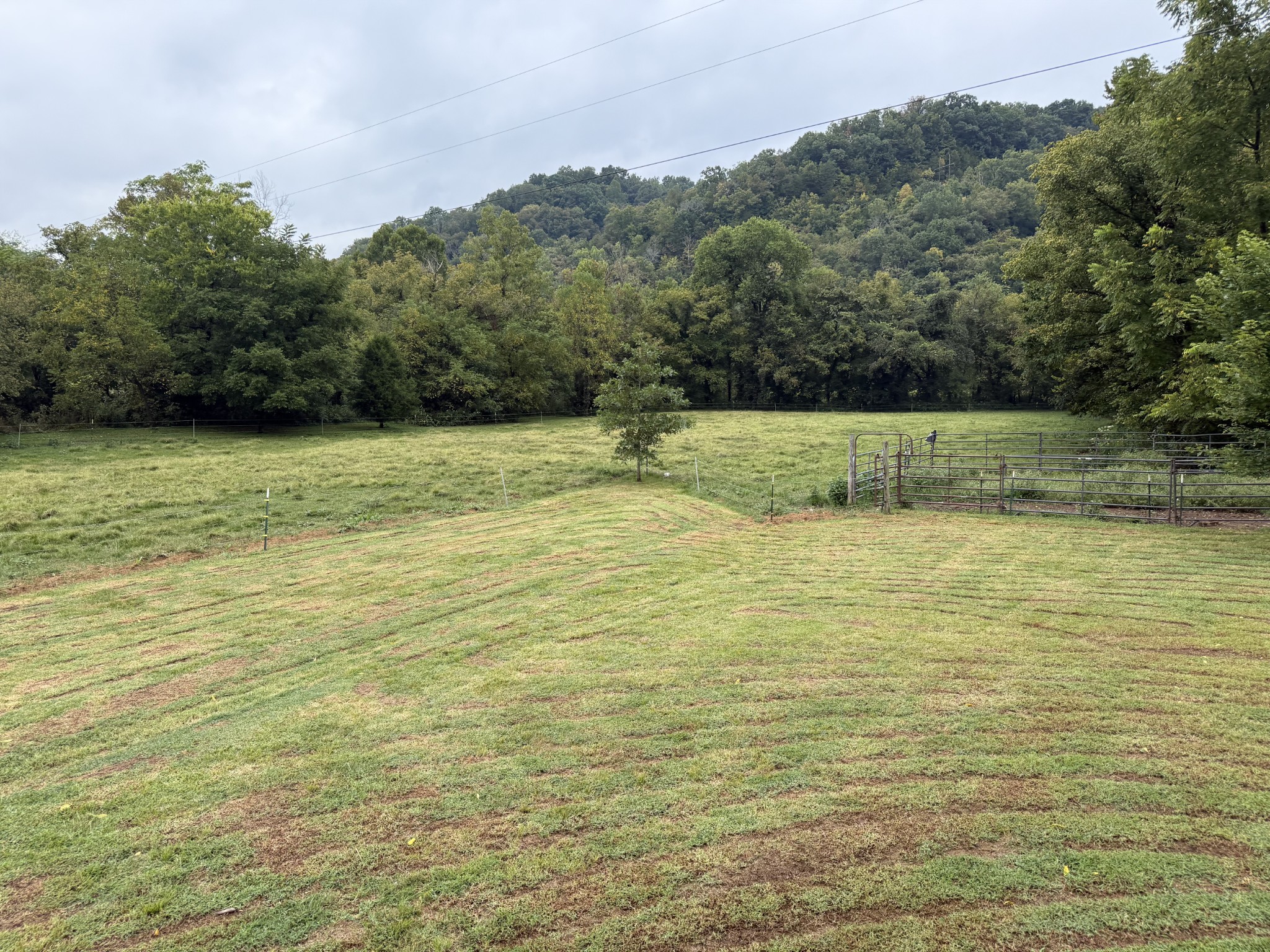 5930 Wet Mill Creek Road Celina TN 38551