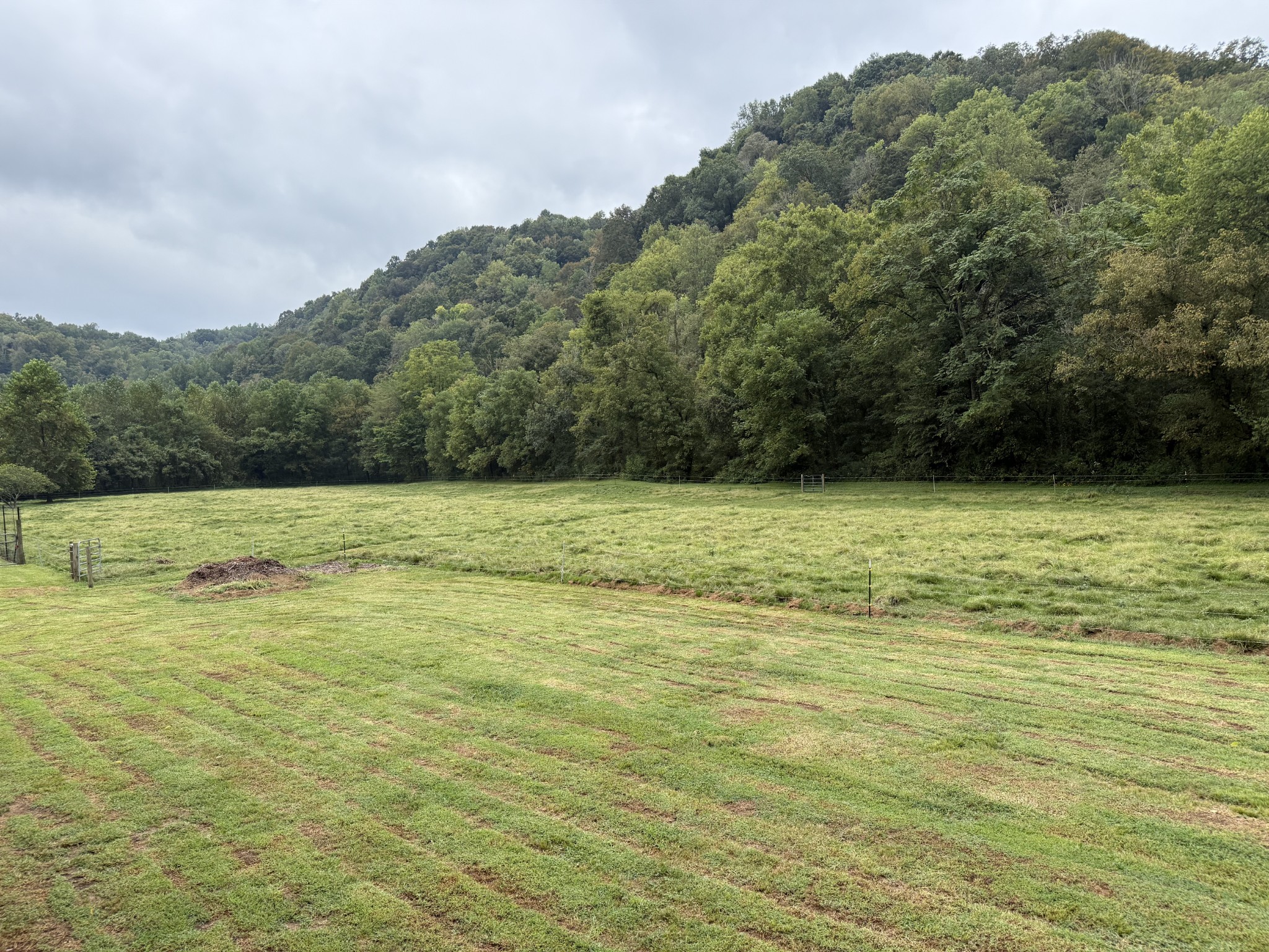 5930 Wet Mill Creek Road Celina TN 38551