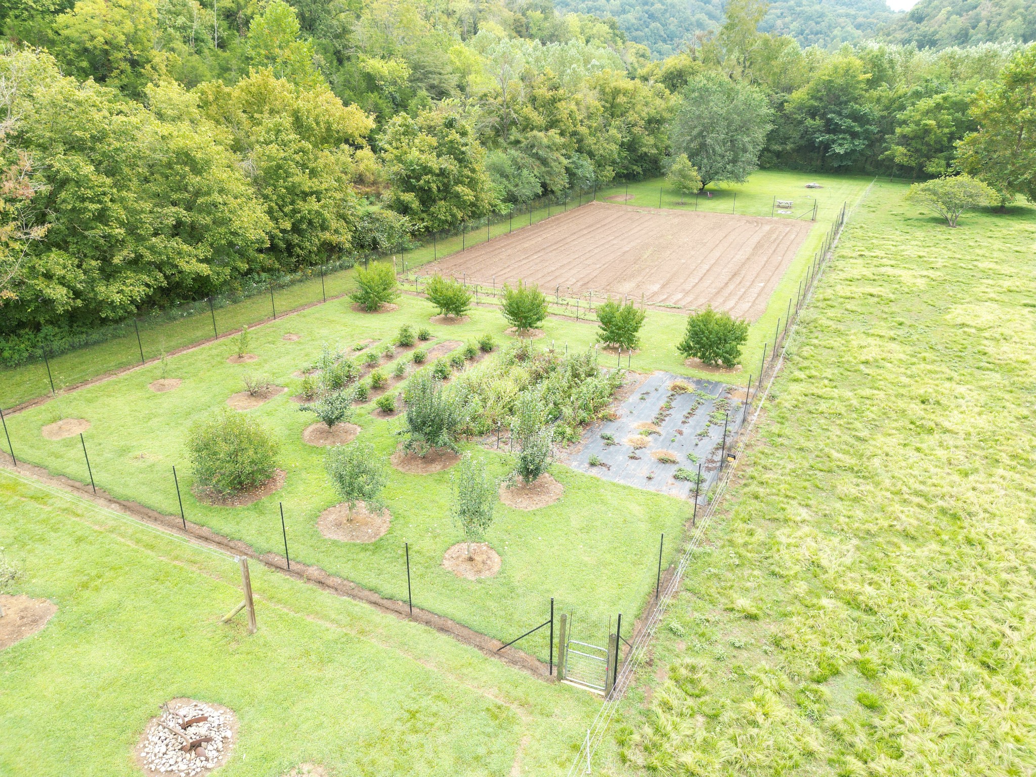 5930 Wet Mill Creek Road Celina TN 38551