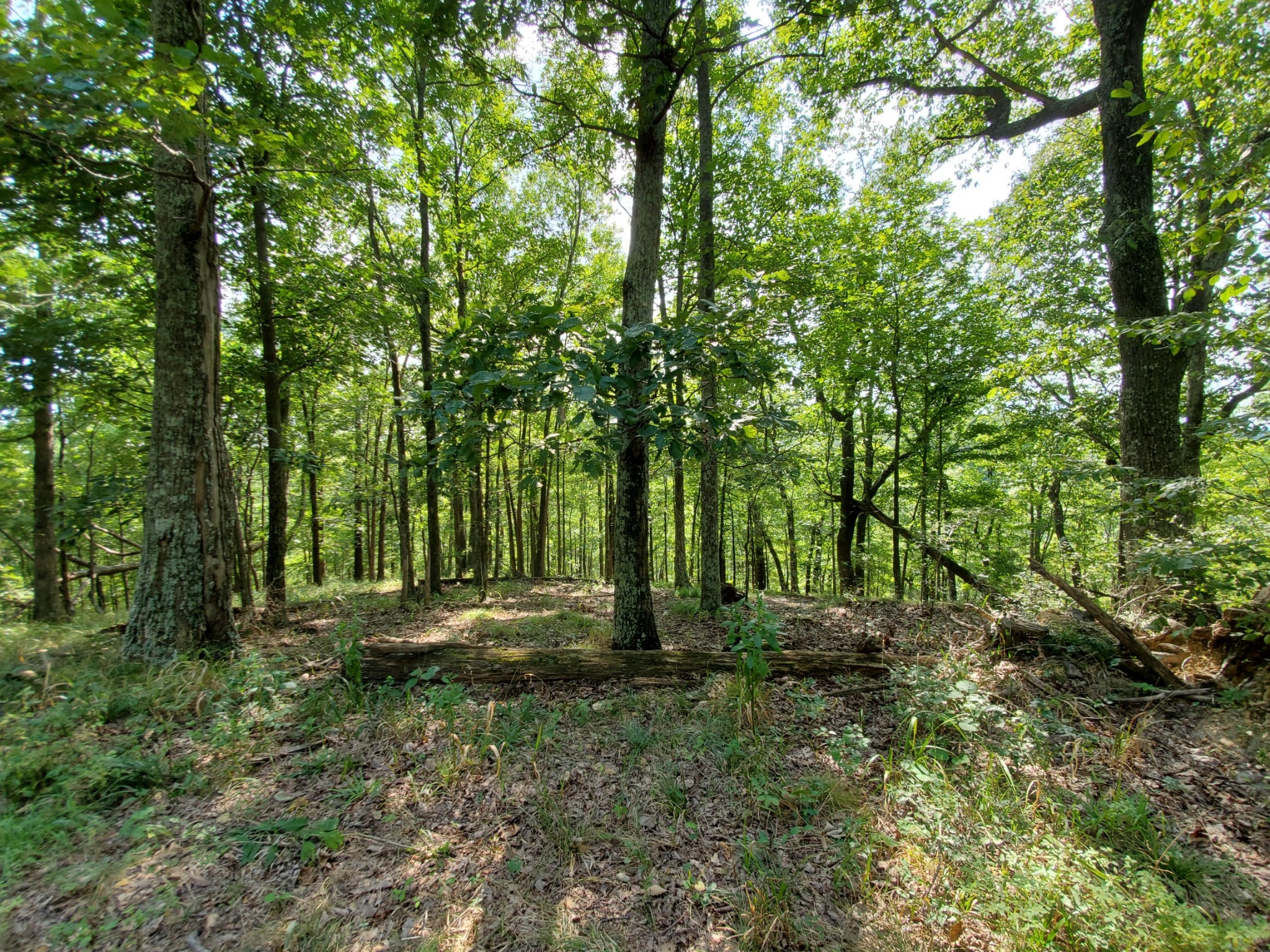 5614 Ashland City Highway Nashville TN 37218