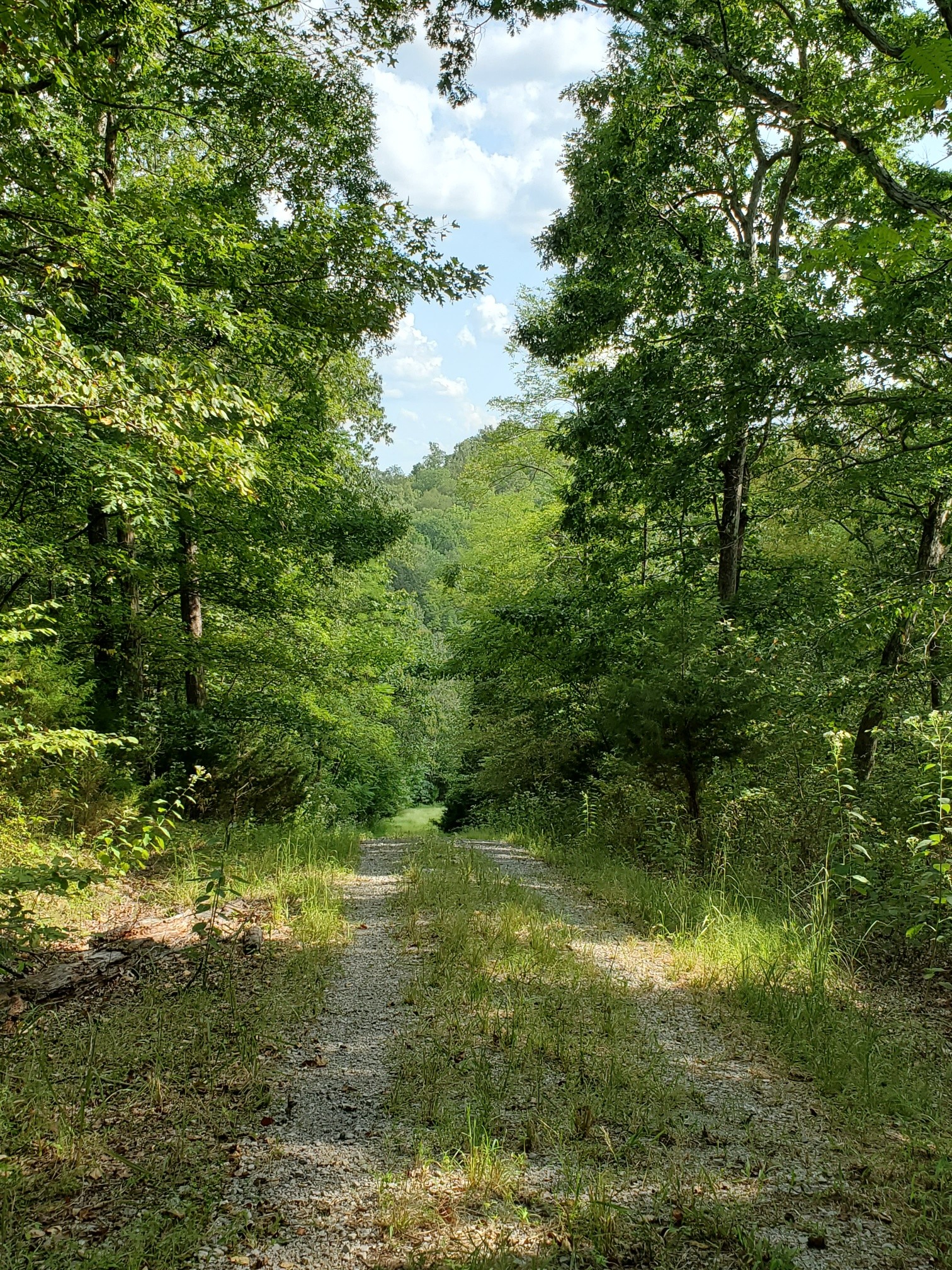 5614 Ashland City Highway Nashville TN 37218