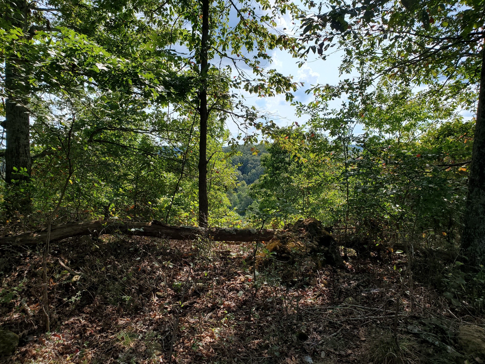 5614 Ashland City Highway Nashville TN 37218