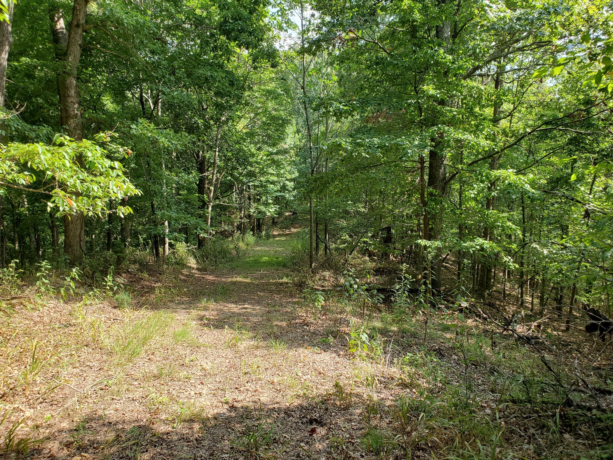 5614 Ashland City Highway Nashville TN 37218