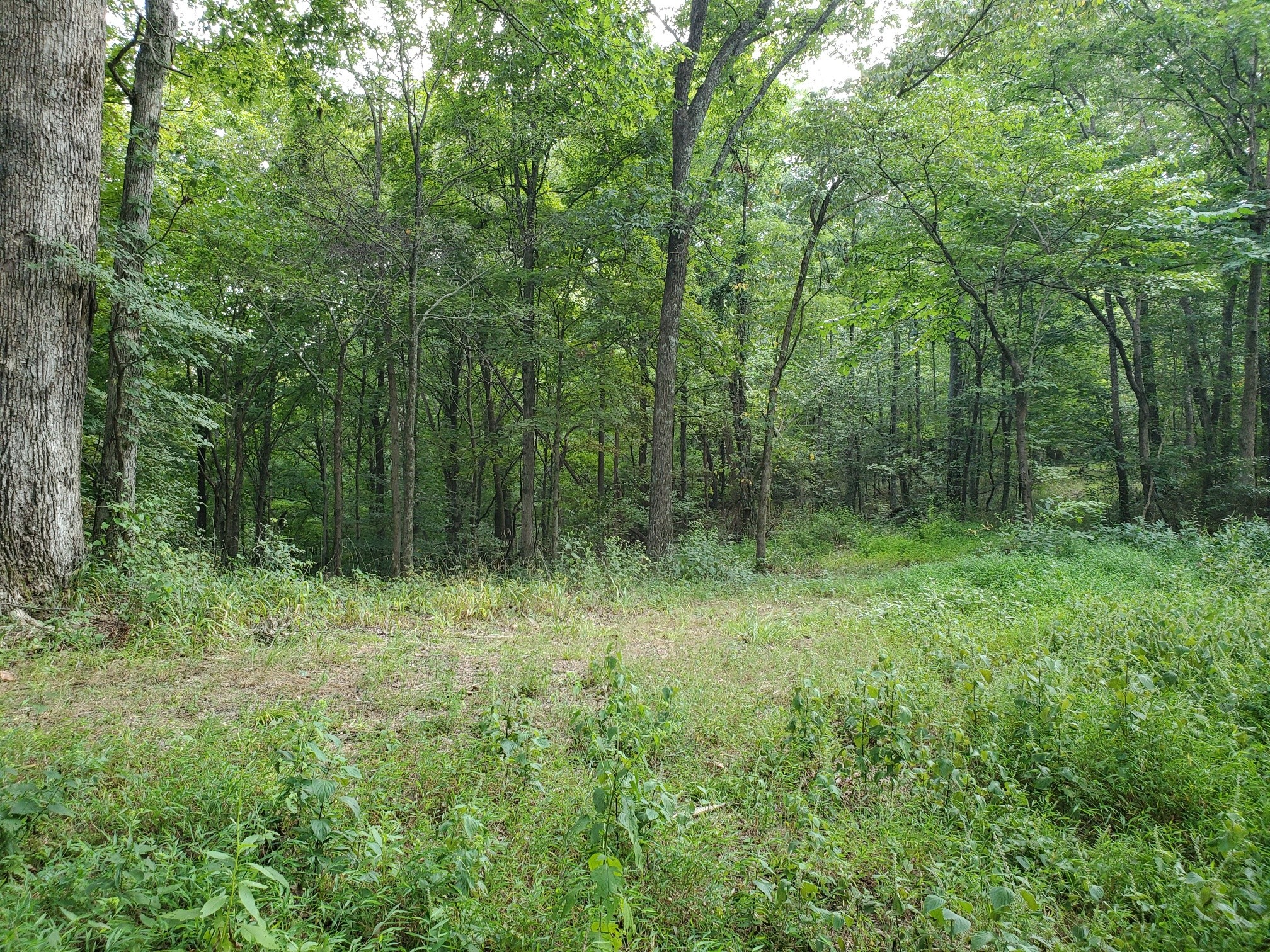 5614 Ashland City Highway Nashville TN 37218