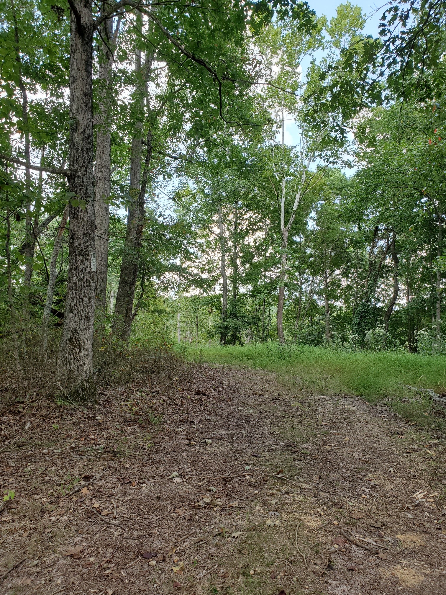 5614 Ashland City Highway Nashville TN 37218