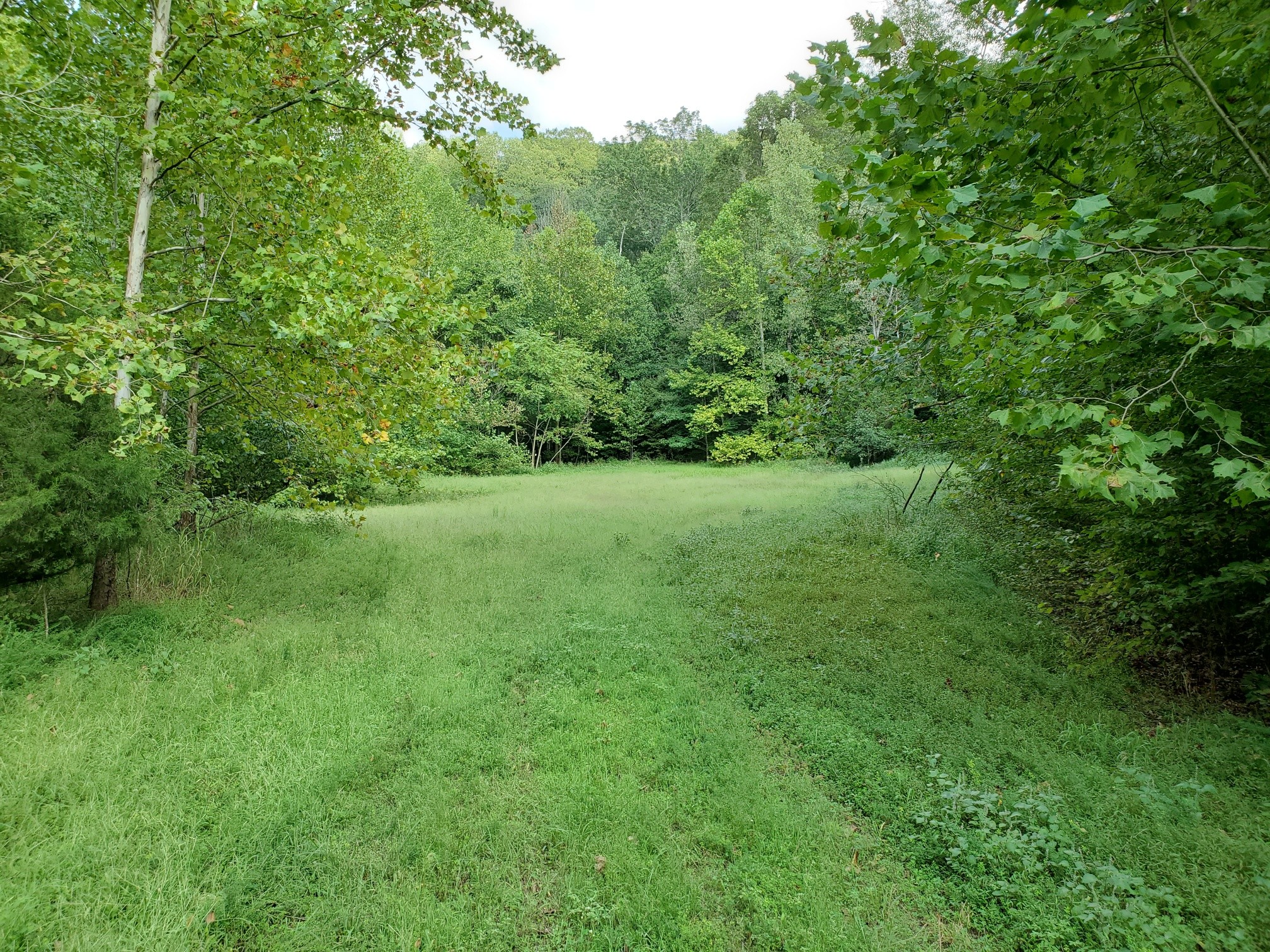 5614 Ashland City Highway Nashville TN 37218