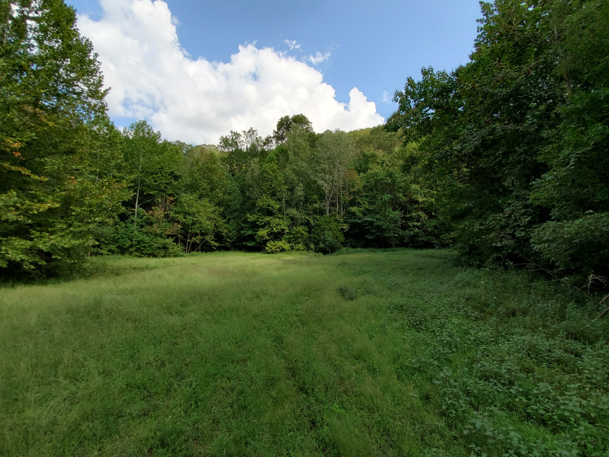 5614 Ashland City Highway Nashville TN 37218