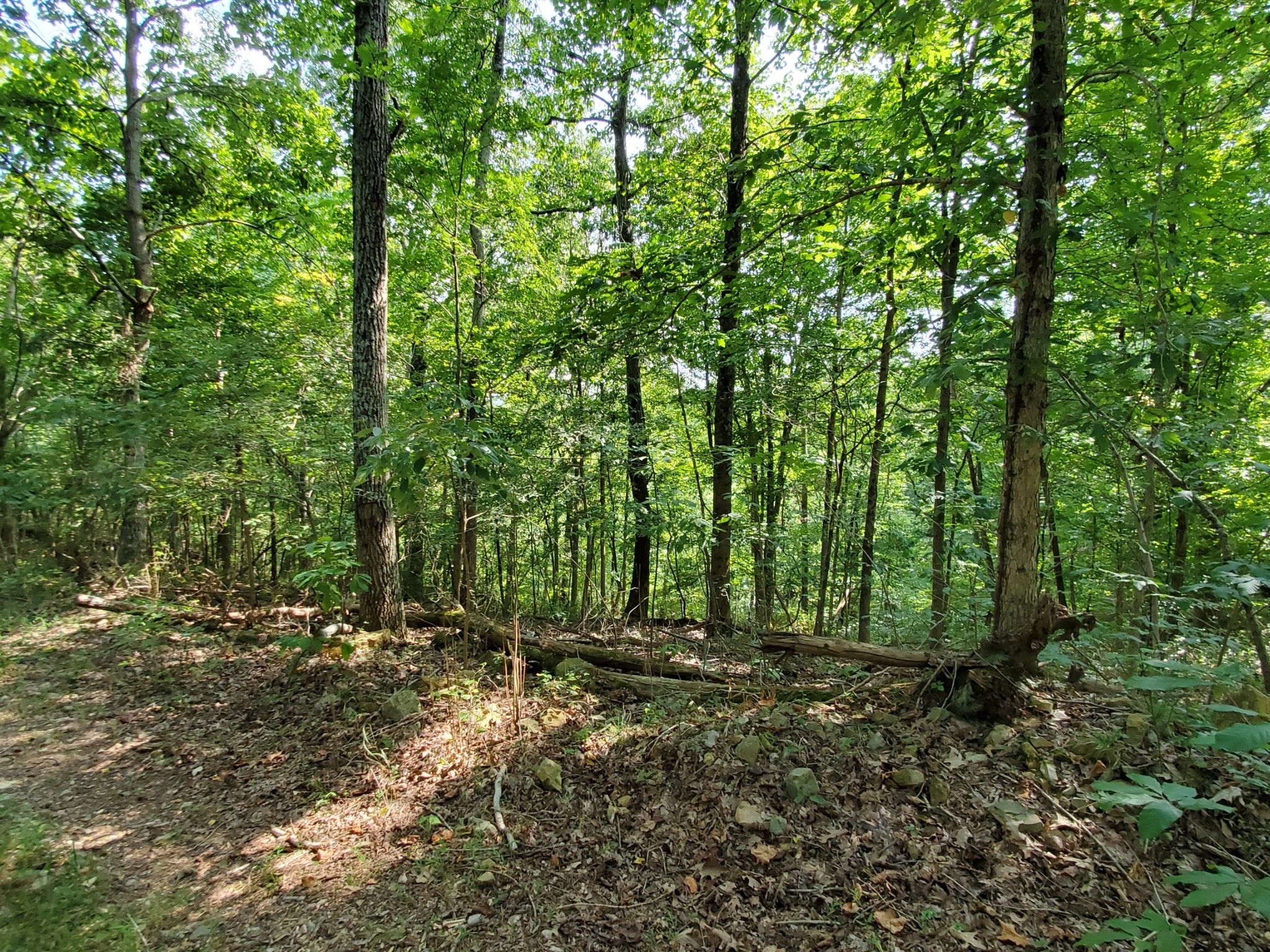 5614 Ashland City Highway Nashville TN 37218