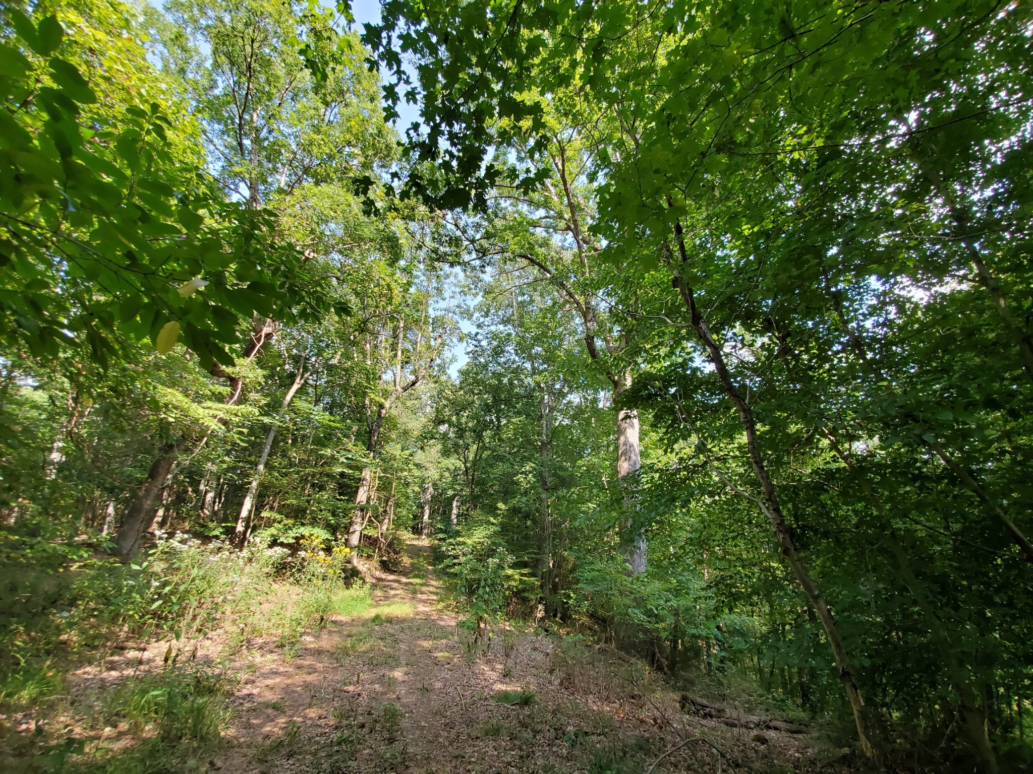 5614 Ashland City Highway Nashville TN 37218