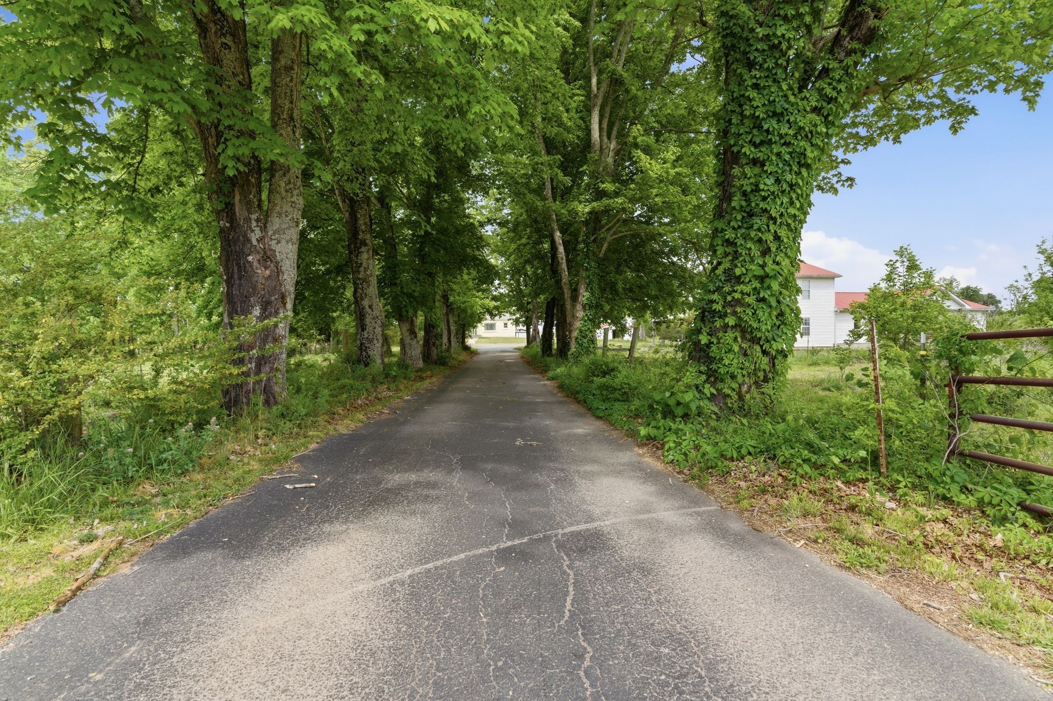 3636 Hartsville Pike Lebanon TN 37087