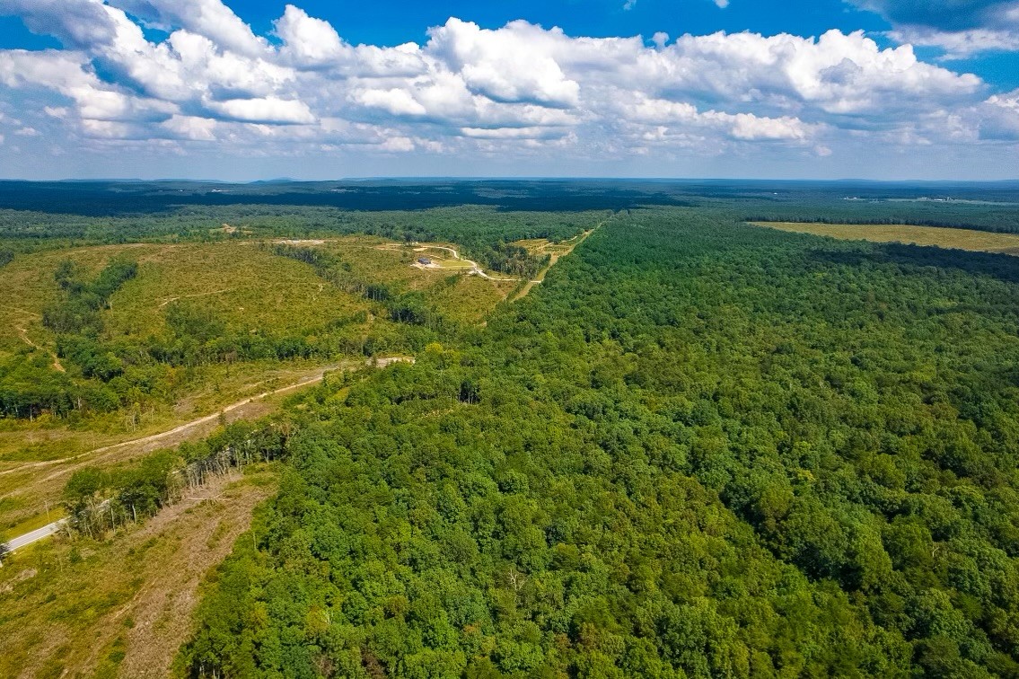 16226 Sr 50 Altamont TN 37301