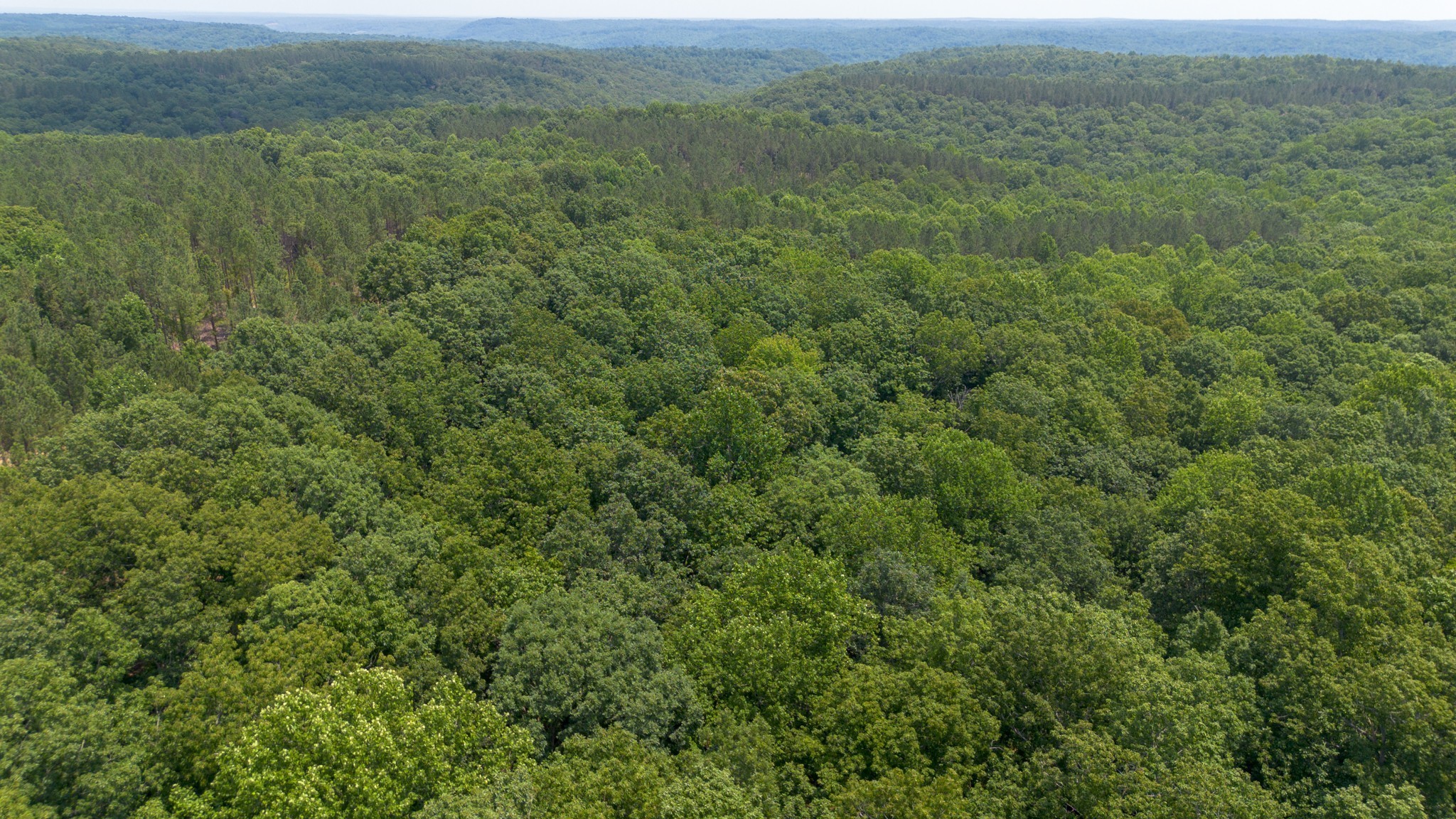 0 Mayfield Divide Road Centerville TN 37033