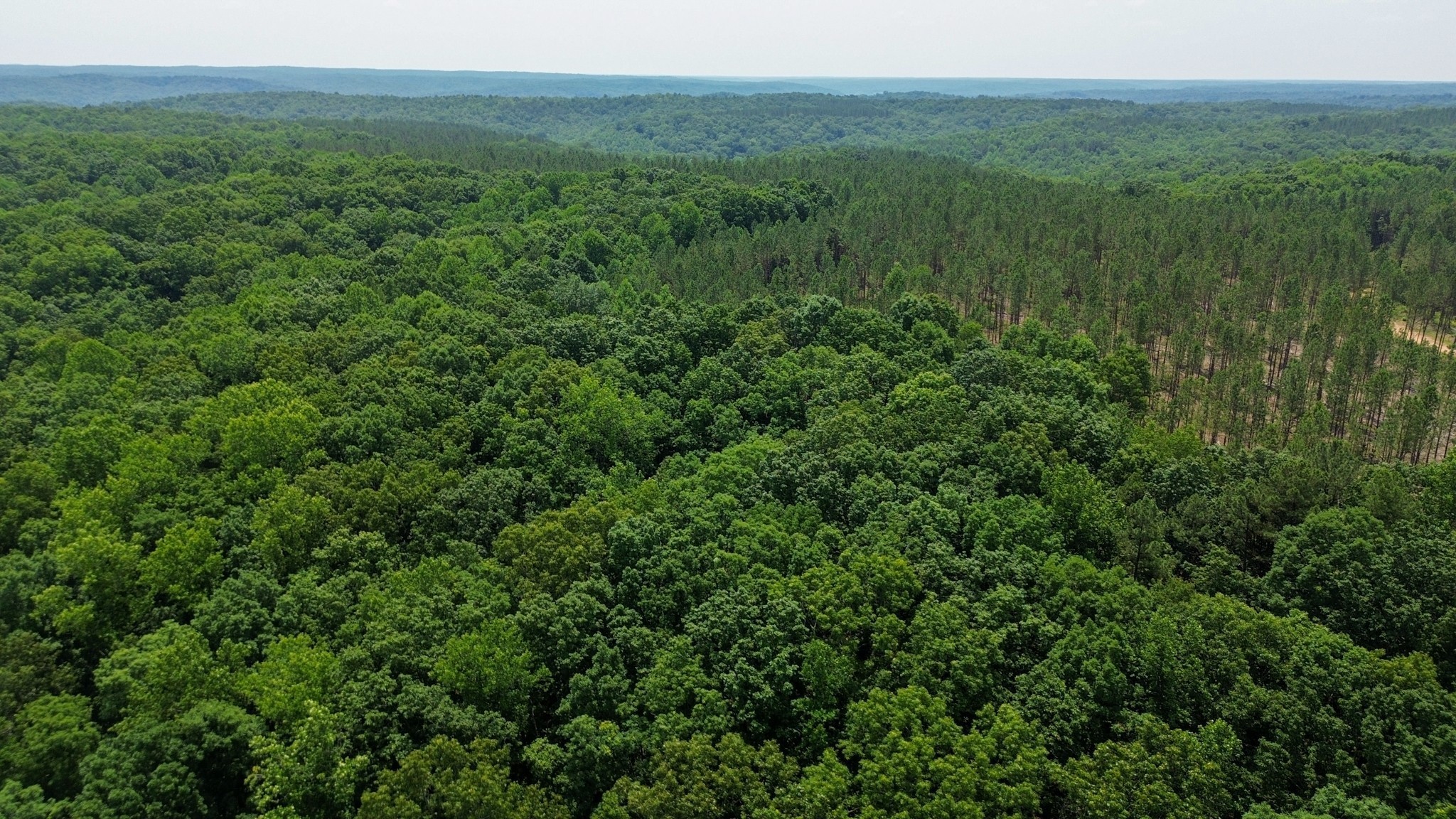 0 Mayfield Divide Road Centerville TN 37033