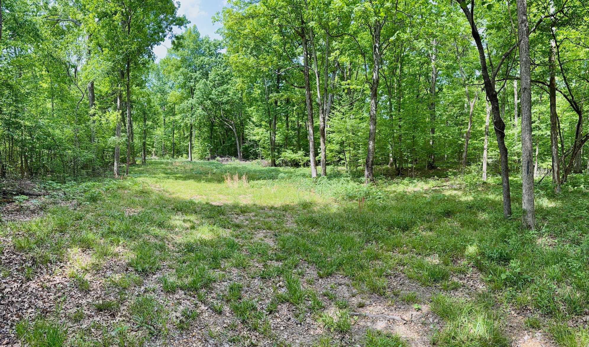 9346 Christiana Fosterville Road Christiana TN 37037