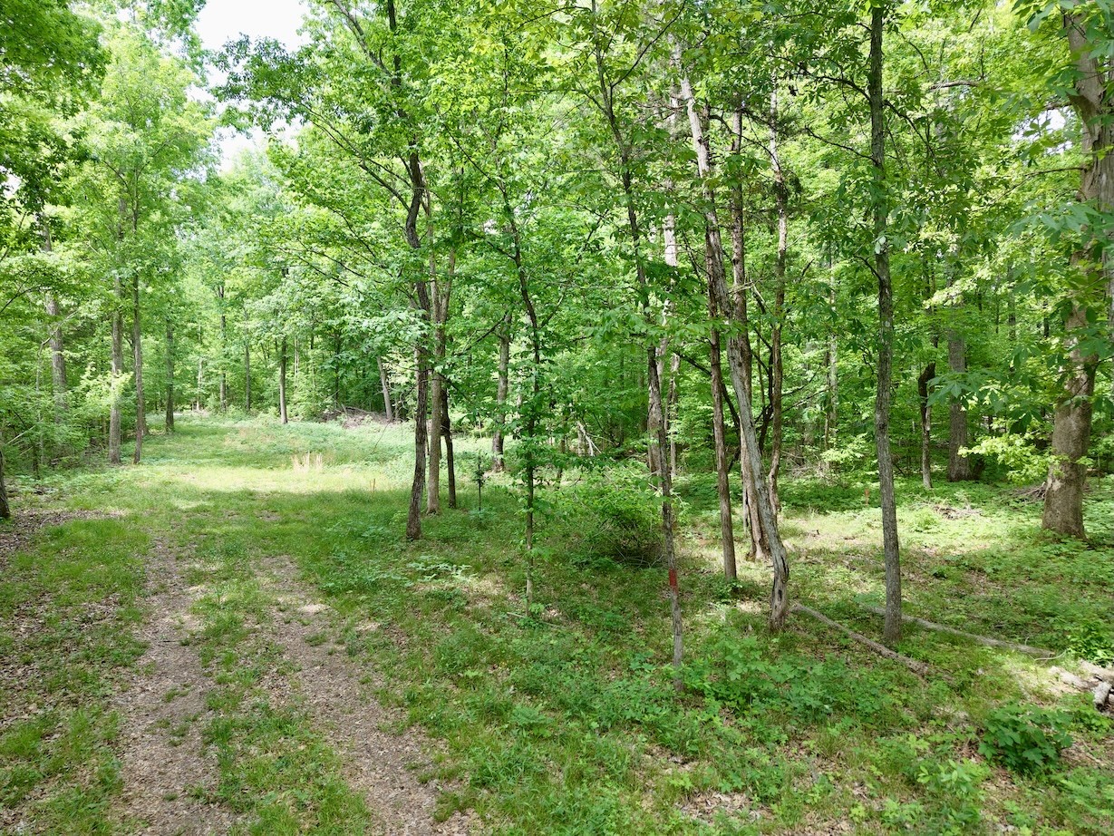 9346 Christiana Fosterville Road Christiana TN 37037