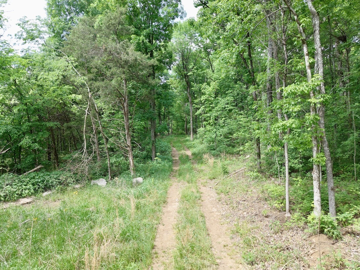 9346 Christiana Fosterville Road Christiana TN 37037