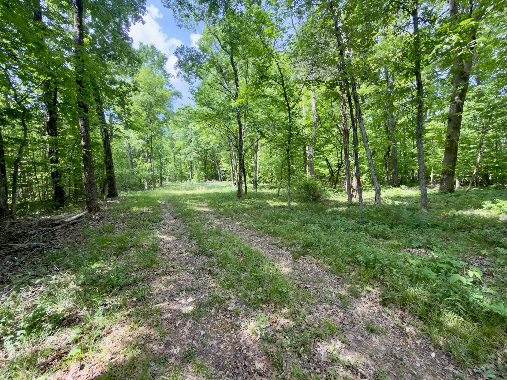 9346 Christiana Fosterville Road Christiana TN 37037