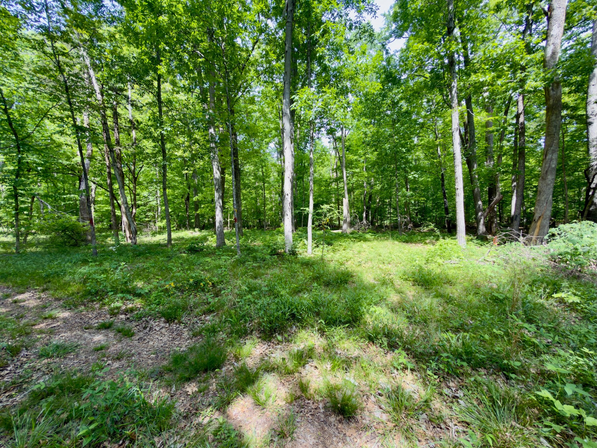 9346 Christiana Fosterville Road Christiana TN 37037