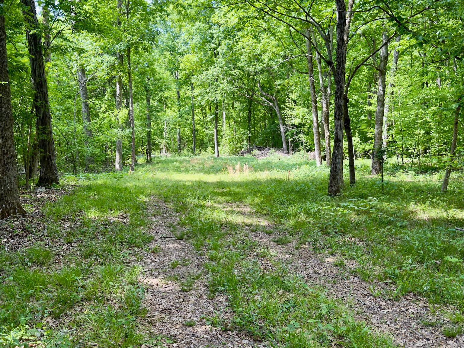 9346 Christiana Fosterville Road Christiana TN 37037
