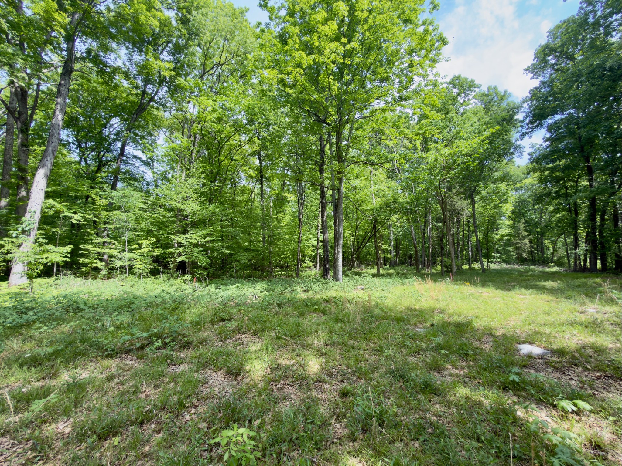 9346 Christiana Fosterville Road Christiana TN 37037
