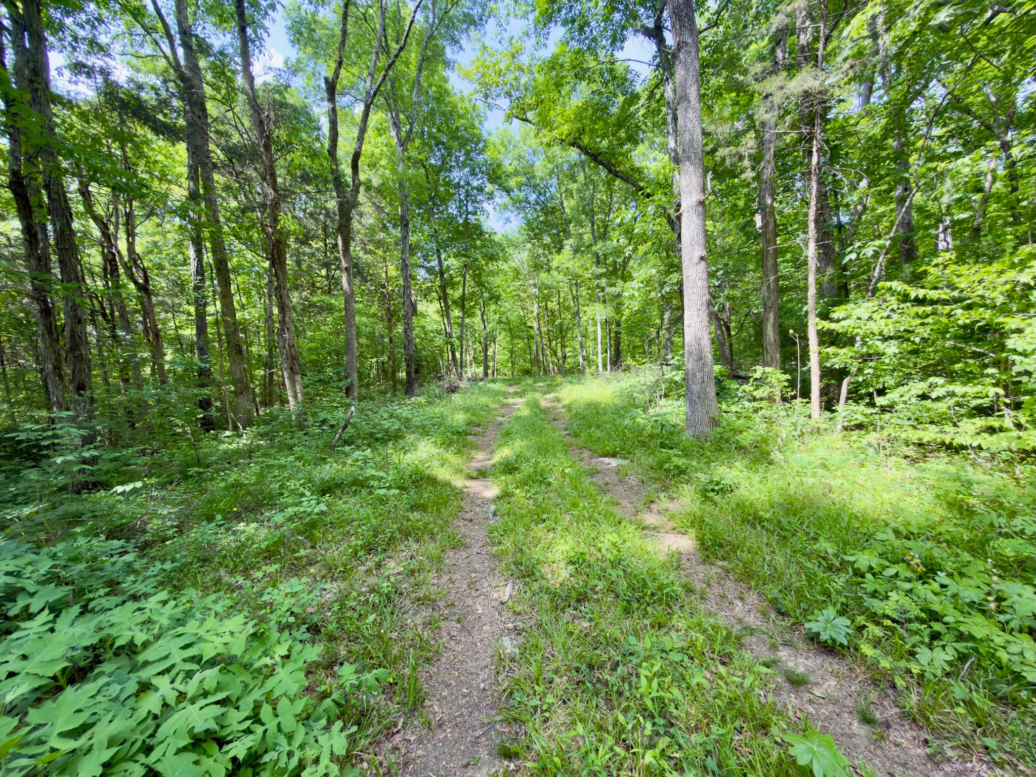 9346 Christiana Fosterville Road Christiana TN 37037