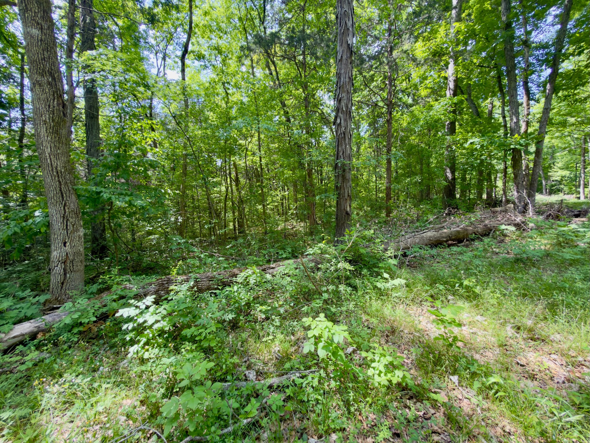 9346 Christiana Fosterville Road Christiana TN 37037