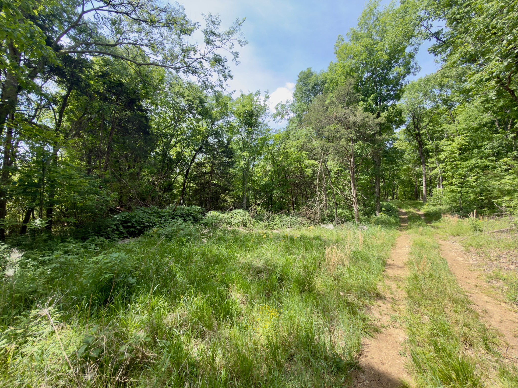 9346 Christiana Fosterville Road Christiana TN 37037