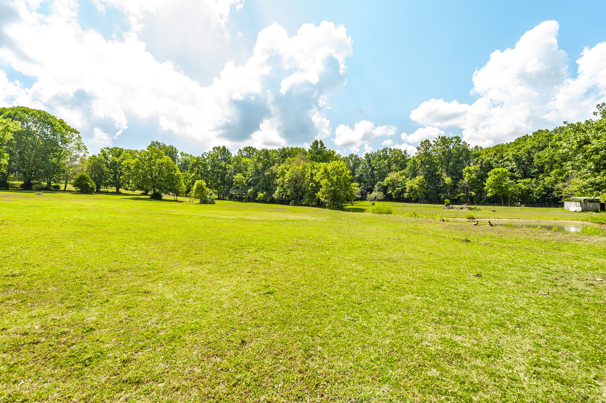 3538 Armstrong Road Springfield TN 37172