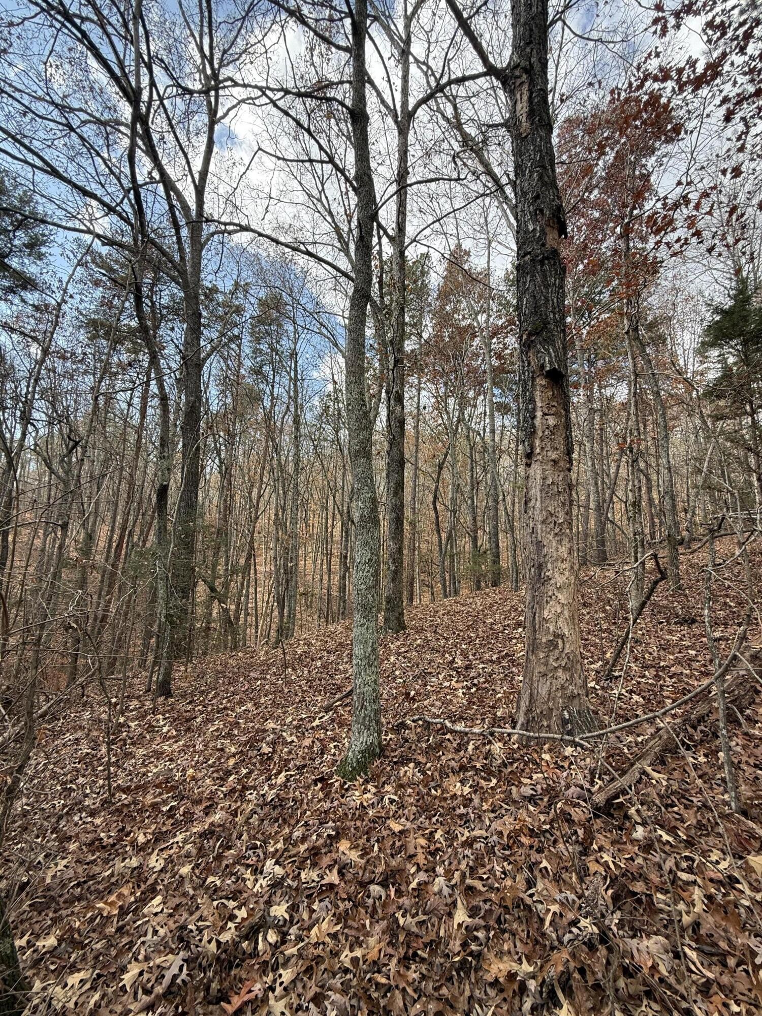 1 Parksville Road Benton TN 37307