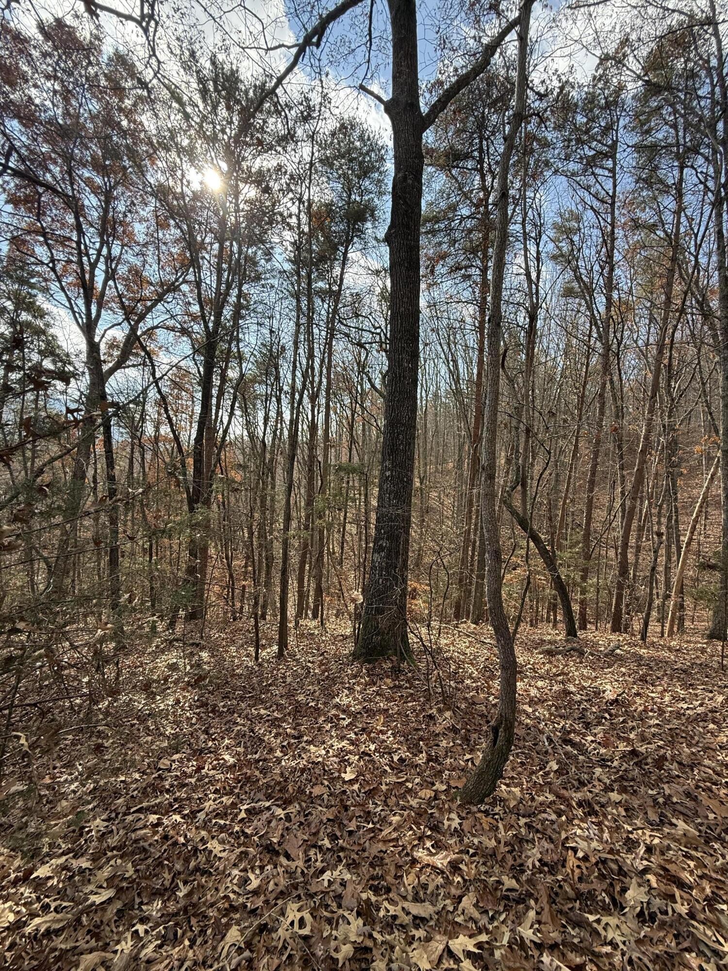 1 Parksville Road Benton TN 37307