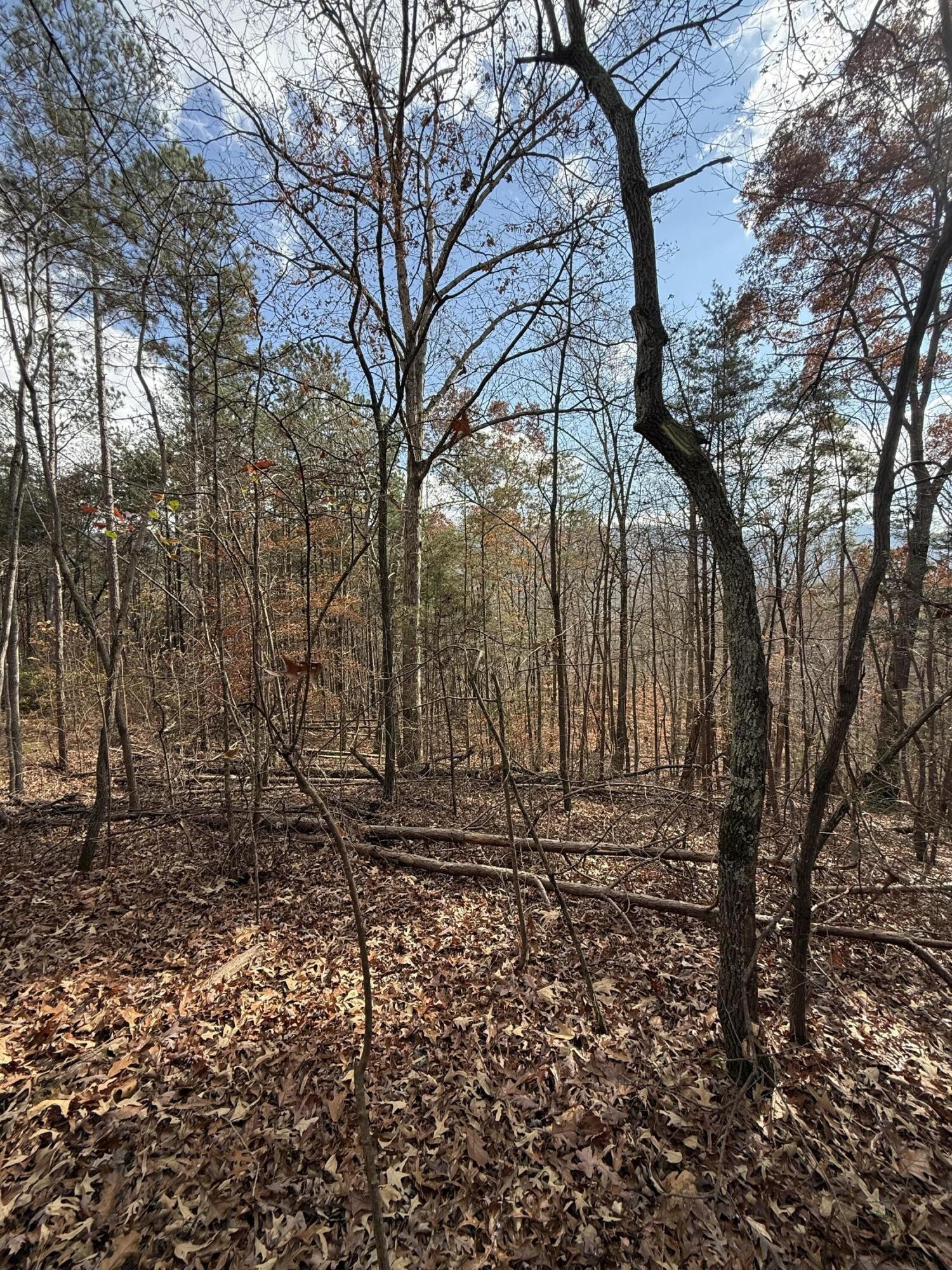 1 Parksville Road Benton TN 37307