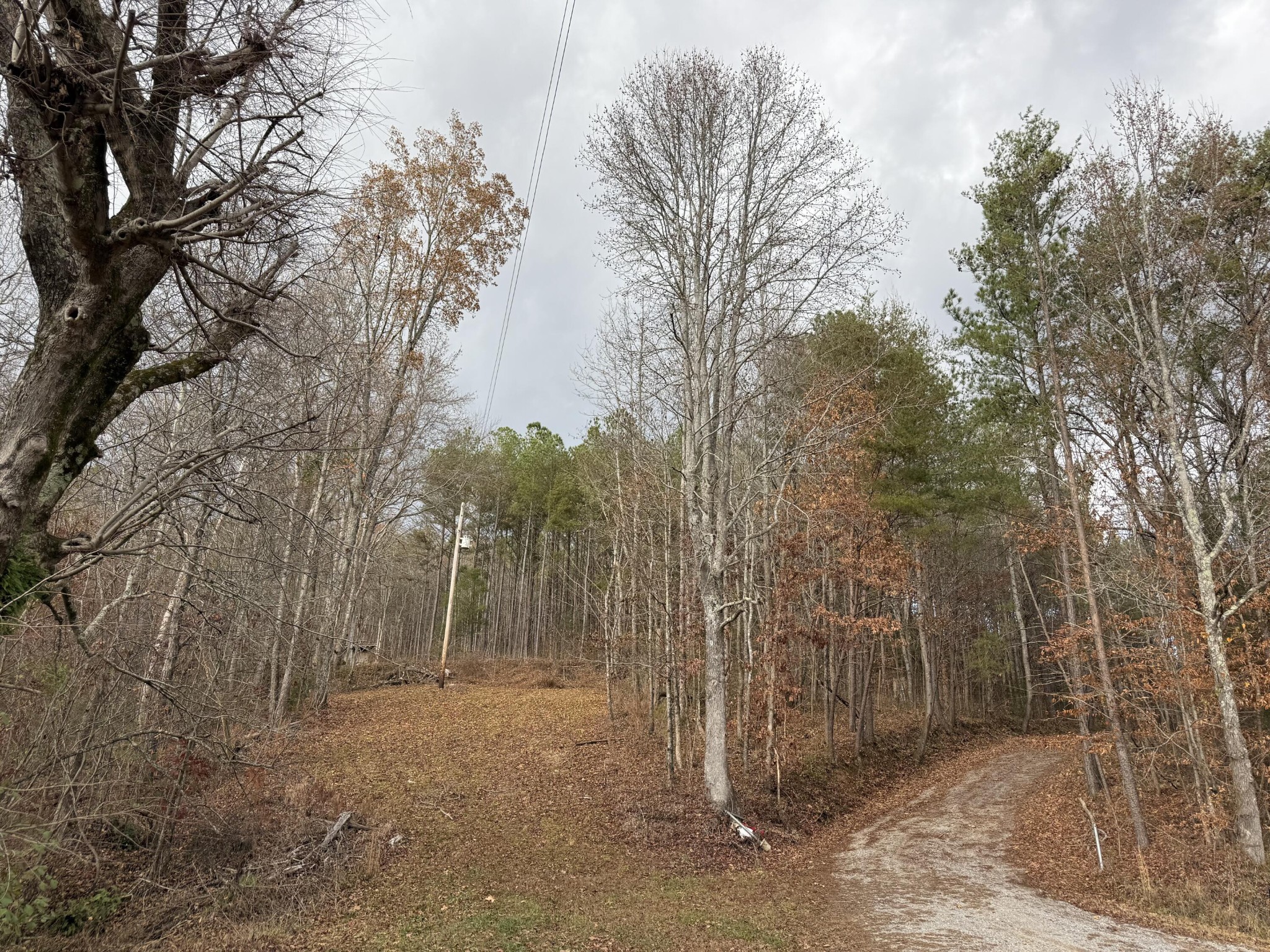 1 Parksville Road Benton TN 37307
