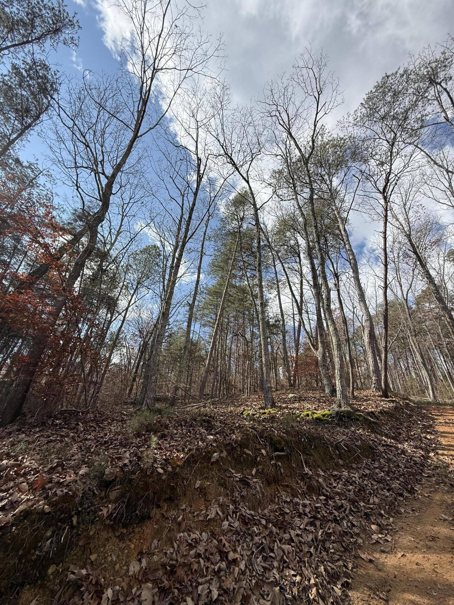 1 Parksville Road Benton TN 37307
