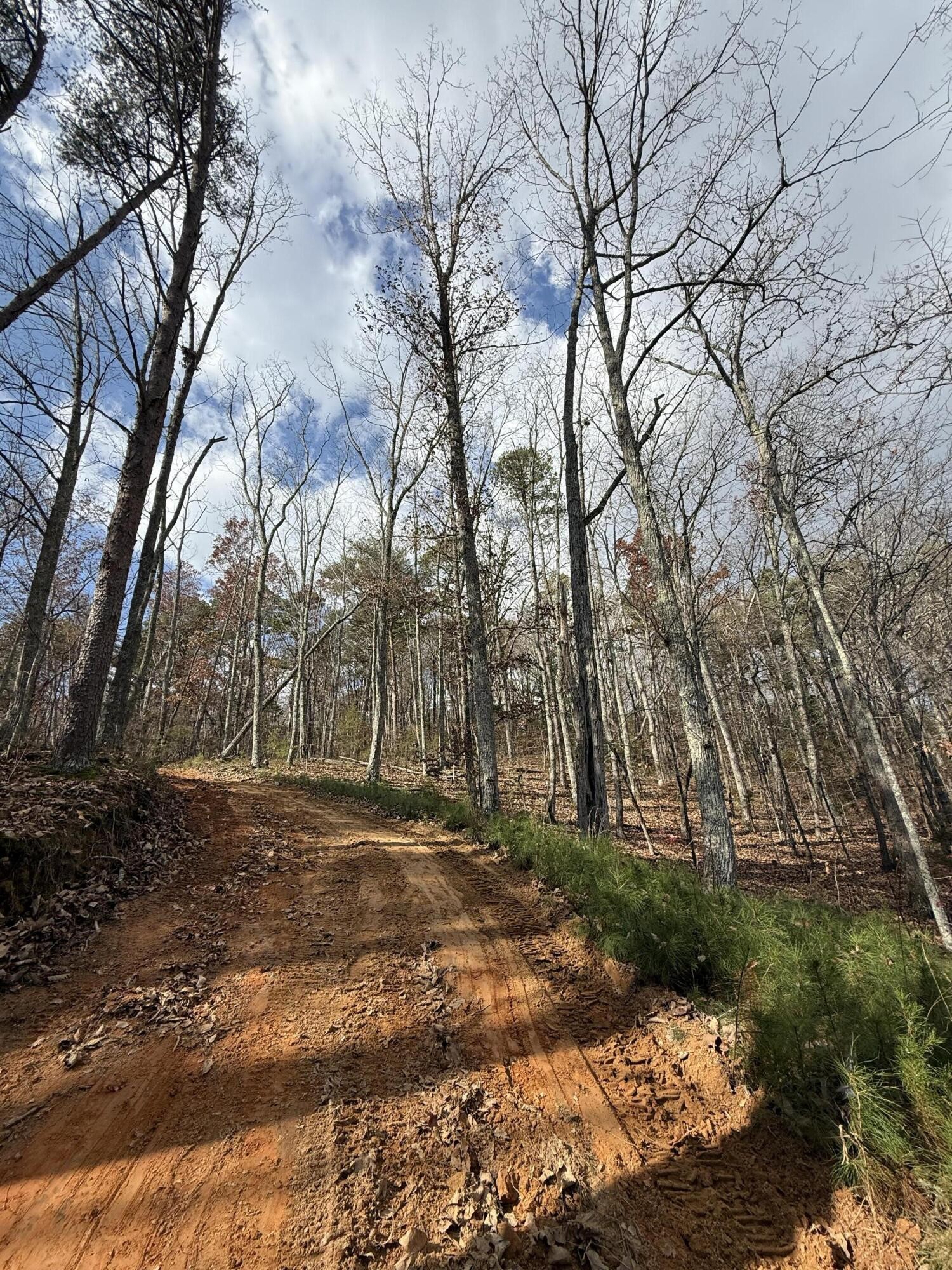 1 Parksville Road Benton TN 37307