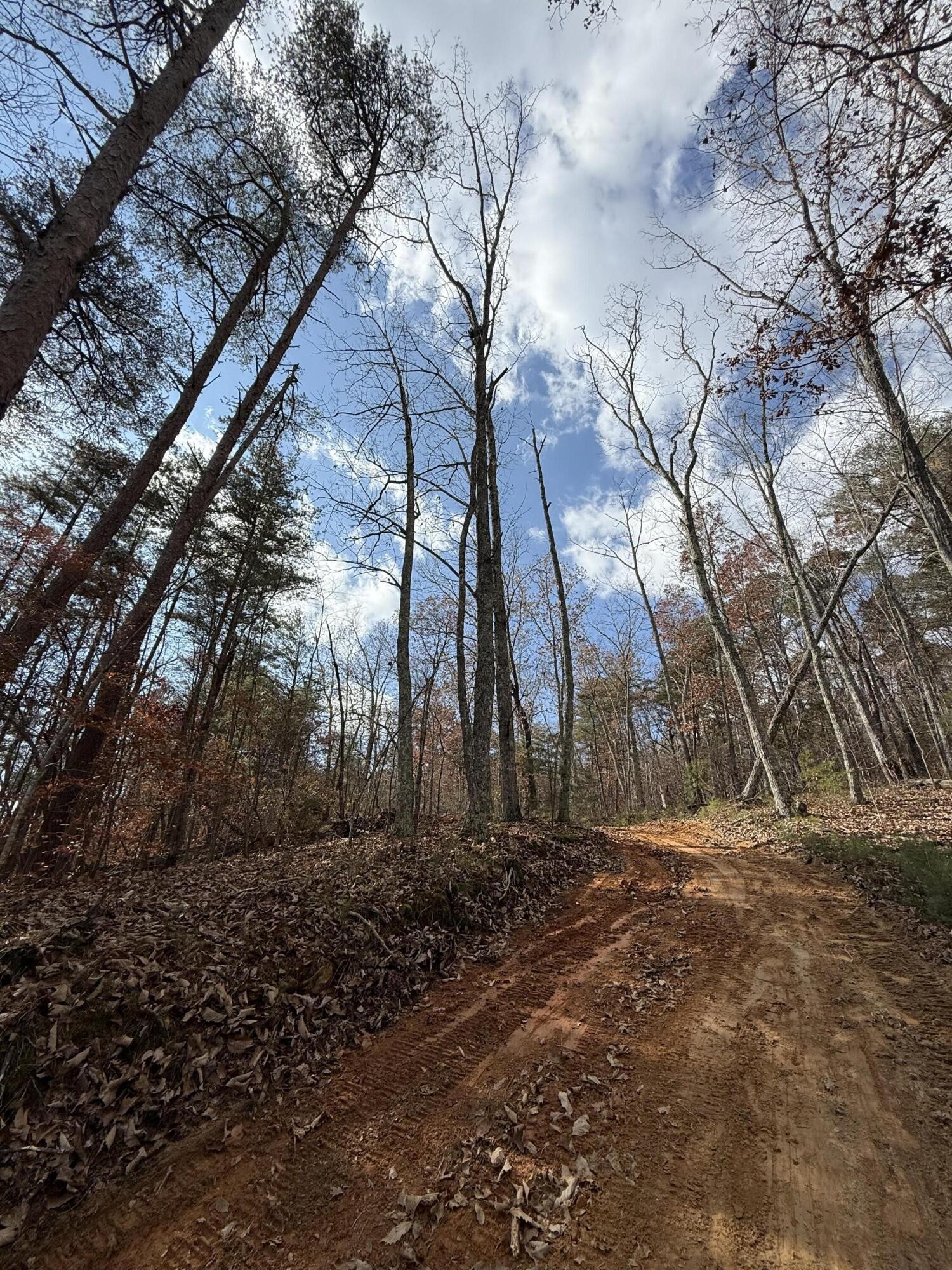 1 Parksville Road Benton TN 37307