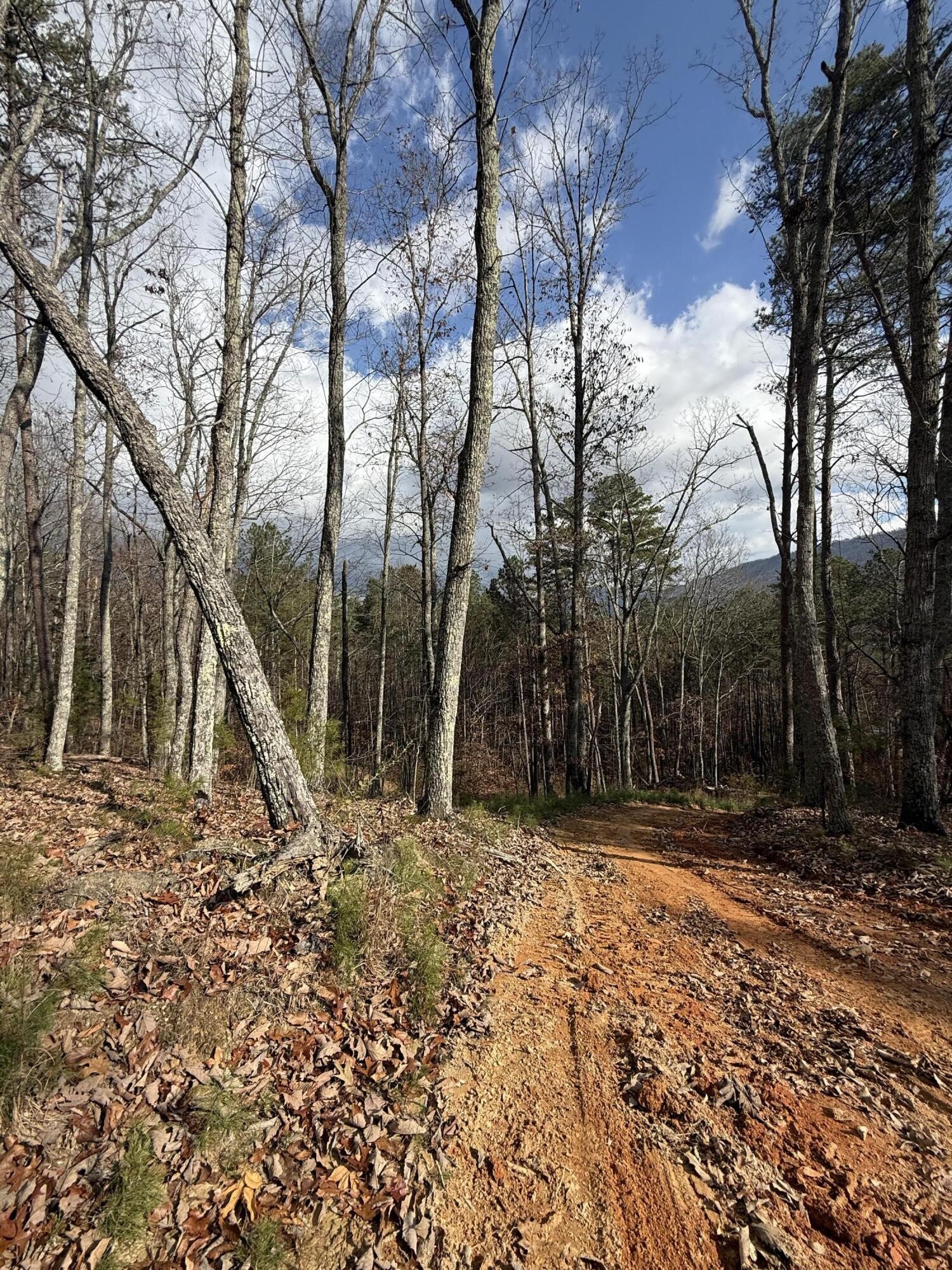 1 Parksville Road Benton TN 37307
