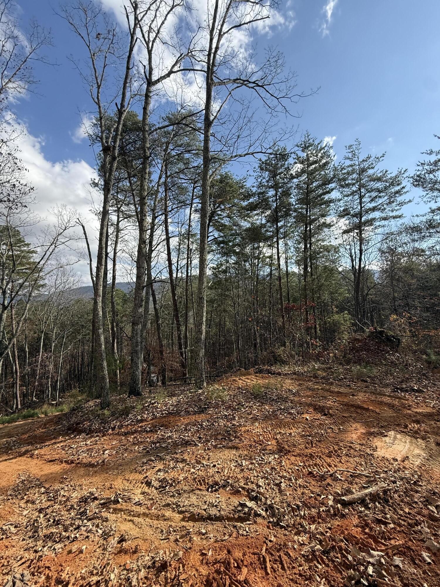 1 Parksville Road Benton TN 37307