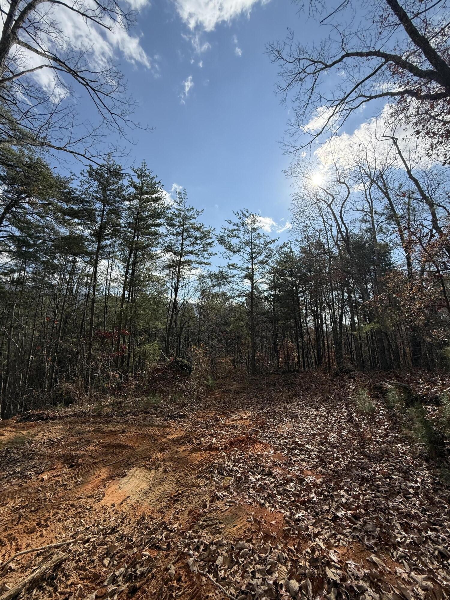 1 Parksville Road Benton TN 37307