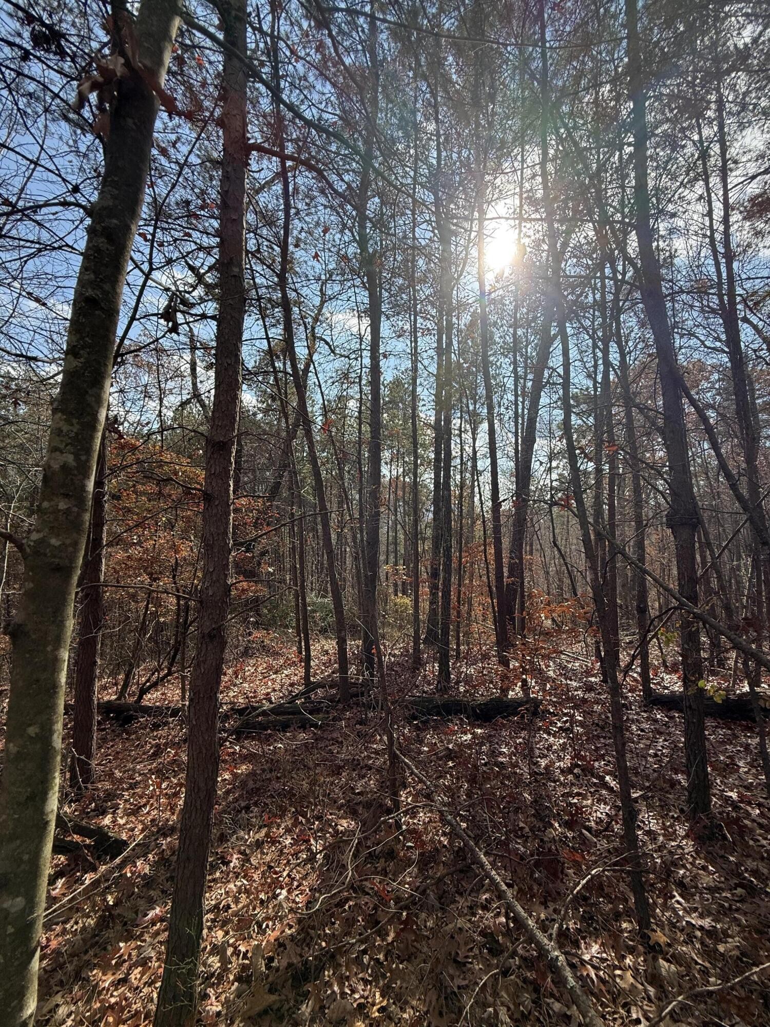 1 Parksville Road Benton TN 37307