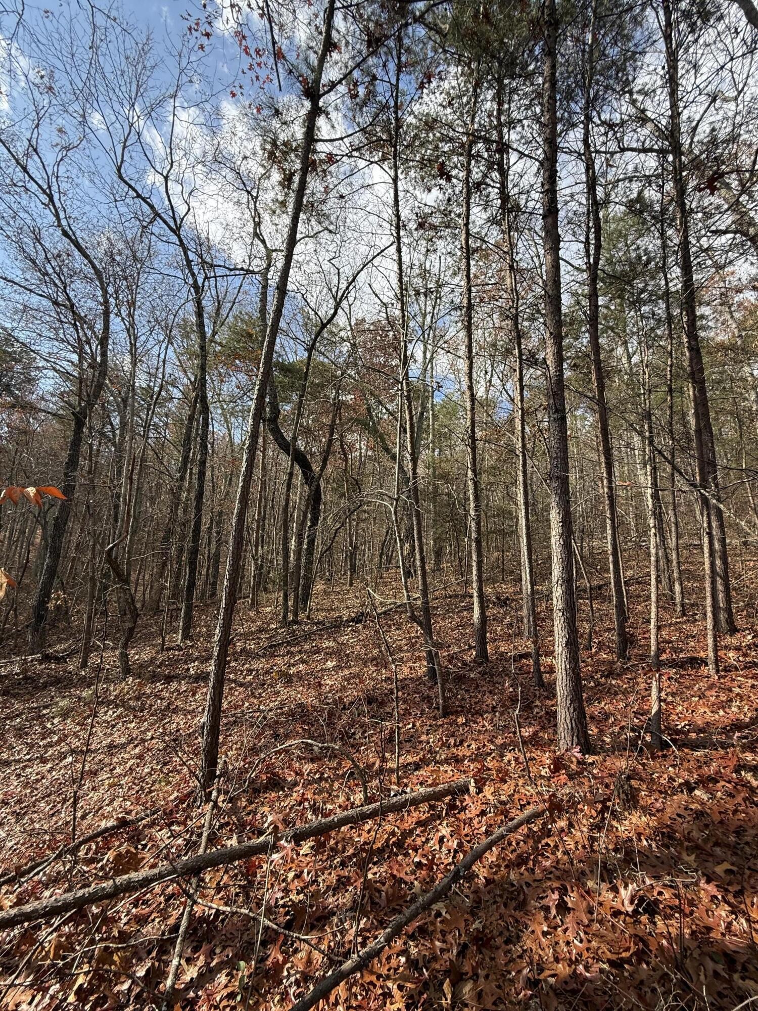 1 Parksville Road Benton TN 37307
