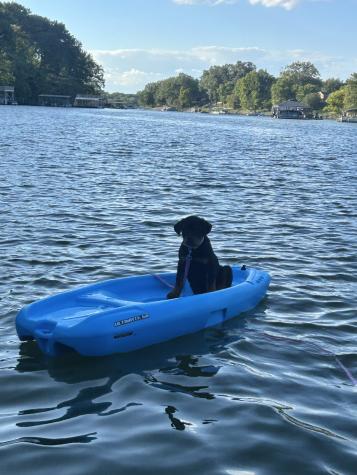 0 N Jefferson Street Winchester TN 37398