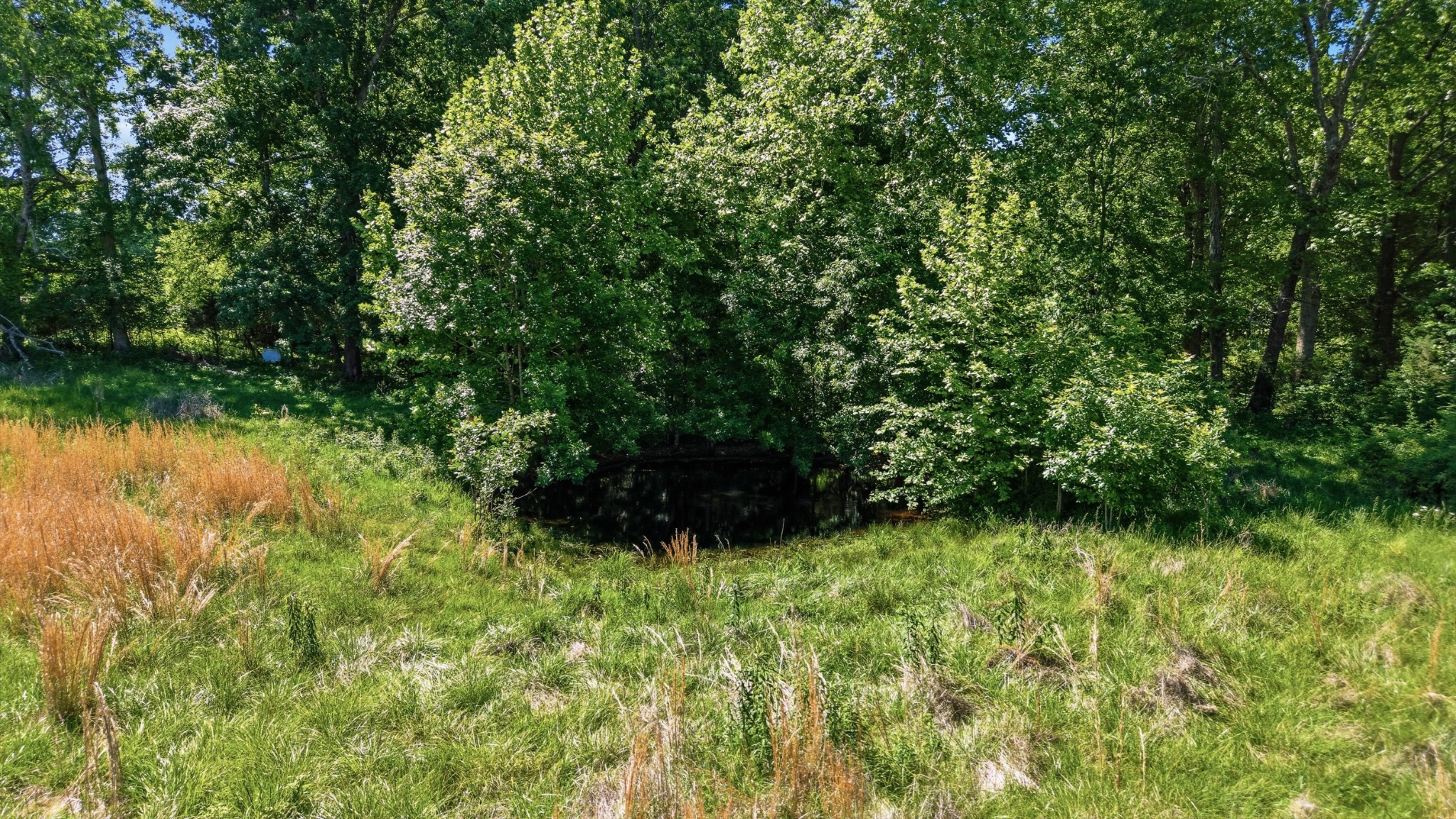 0 Ridgeville Road Tullahoma TN 37388