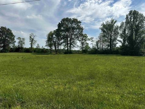 0 Catfish Lane Crump TN 38327