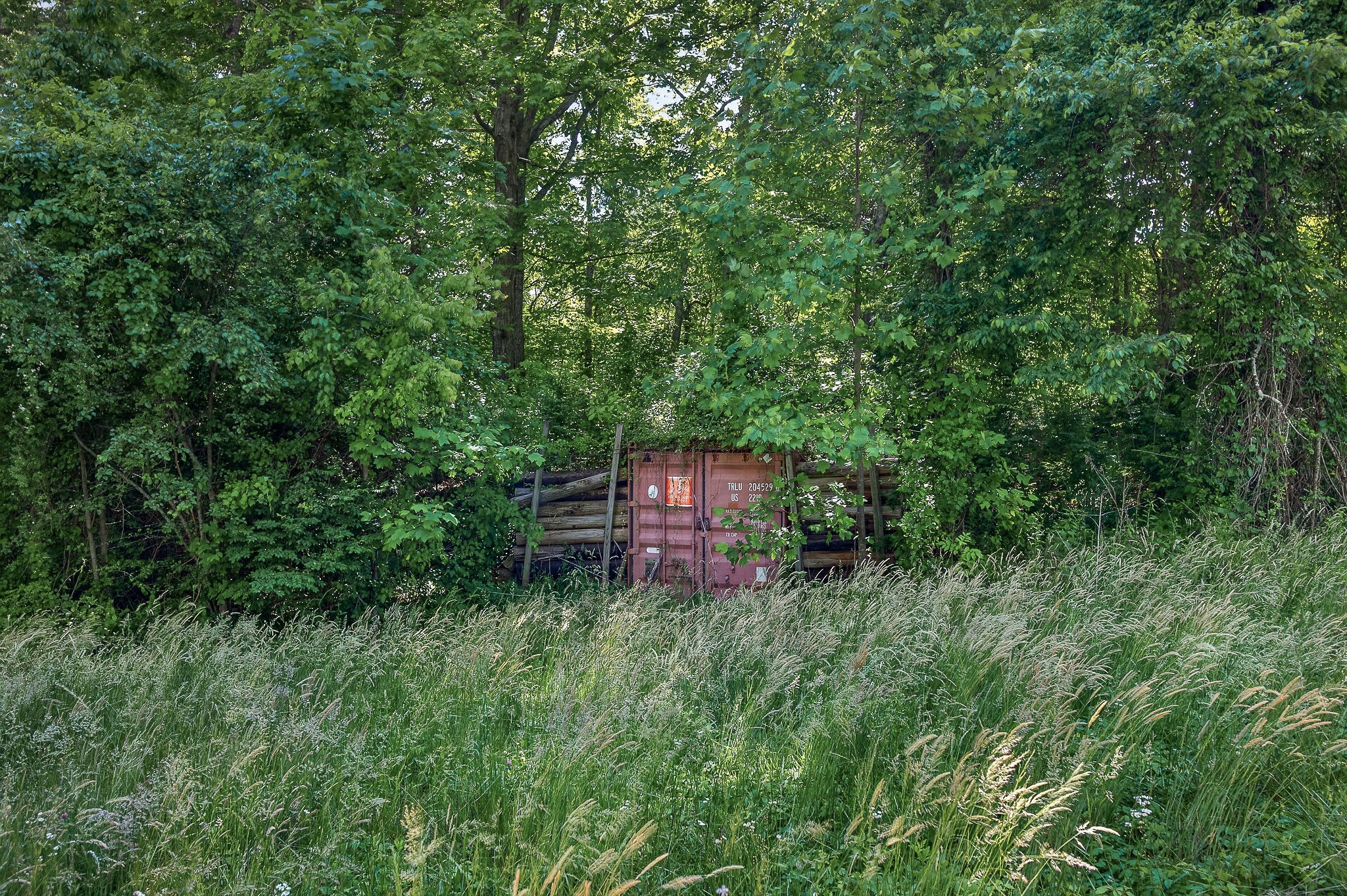 1720 Besstown Road Beersheba Springs TN 37305